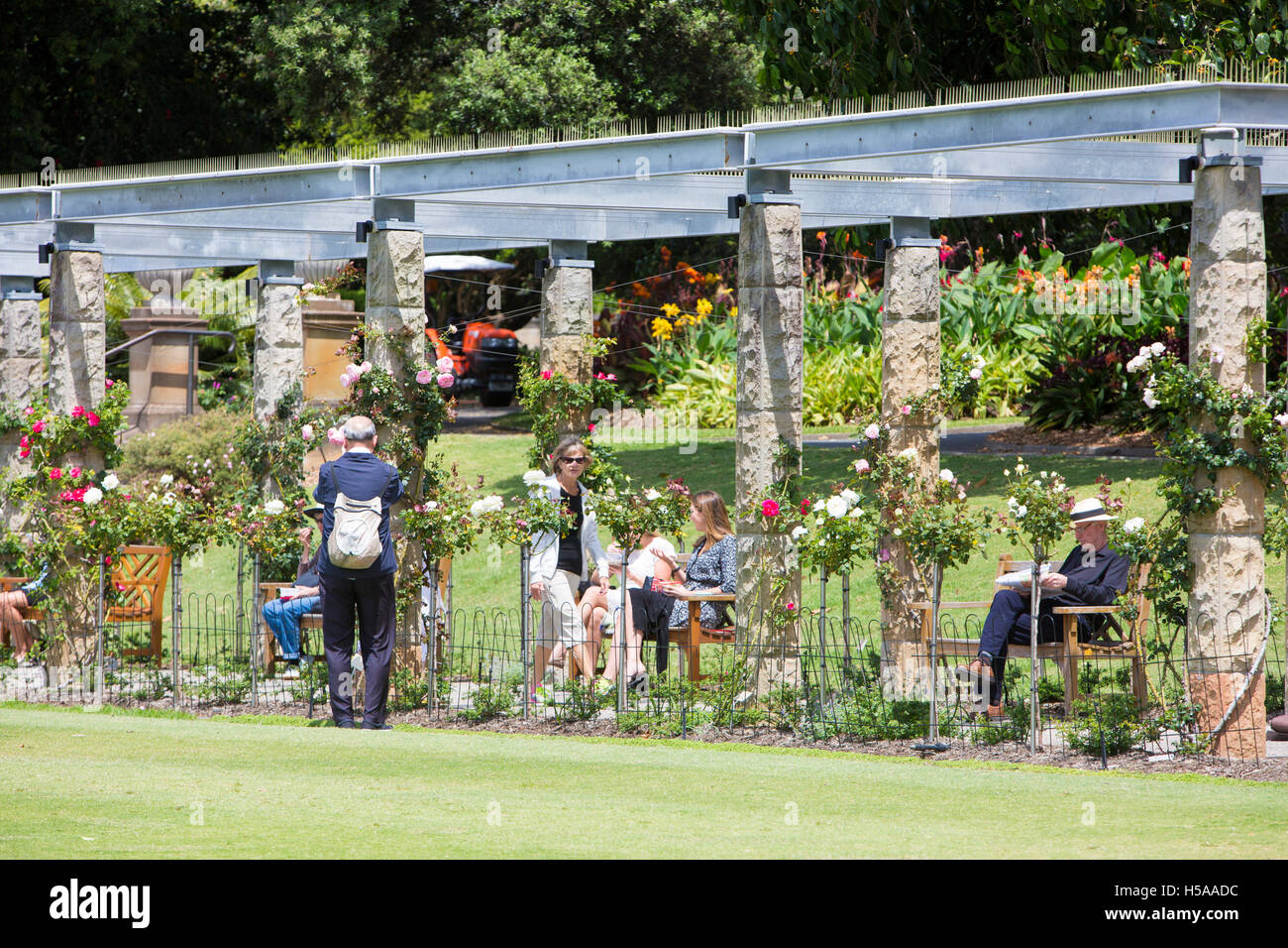 Sydney Royal Botanic Gardens and the Rose Garden in Spring, office ...