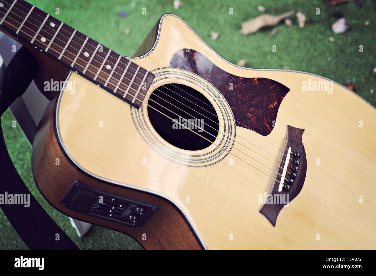 Particular acoustic guitar resting in garden. Stock Photo