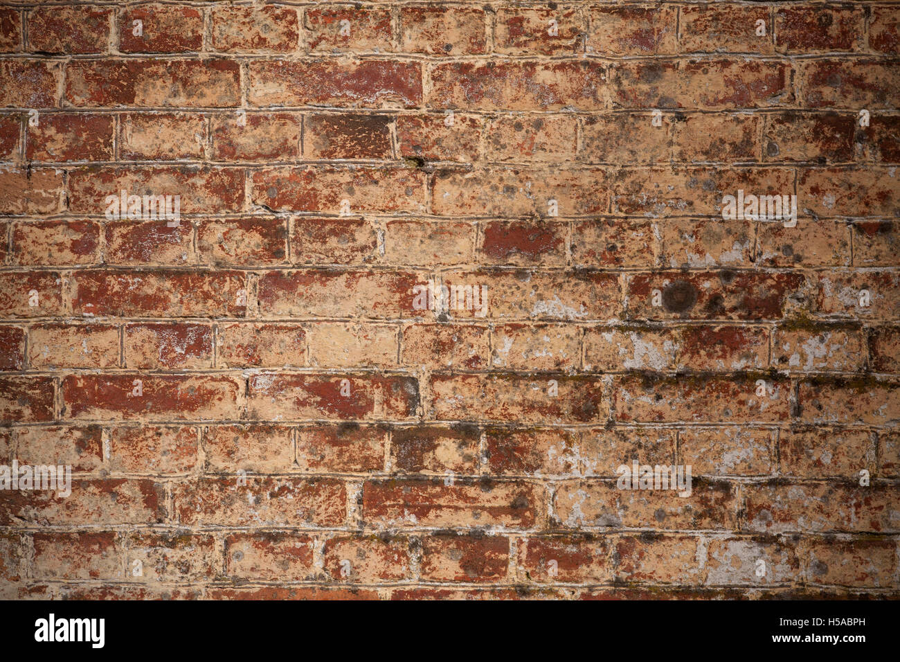 old brick wall background or vintage abstract texture Stock Photo - Alamy