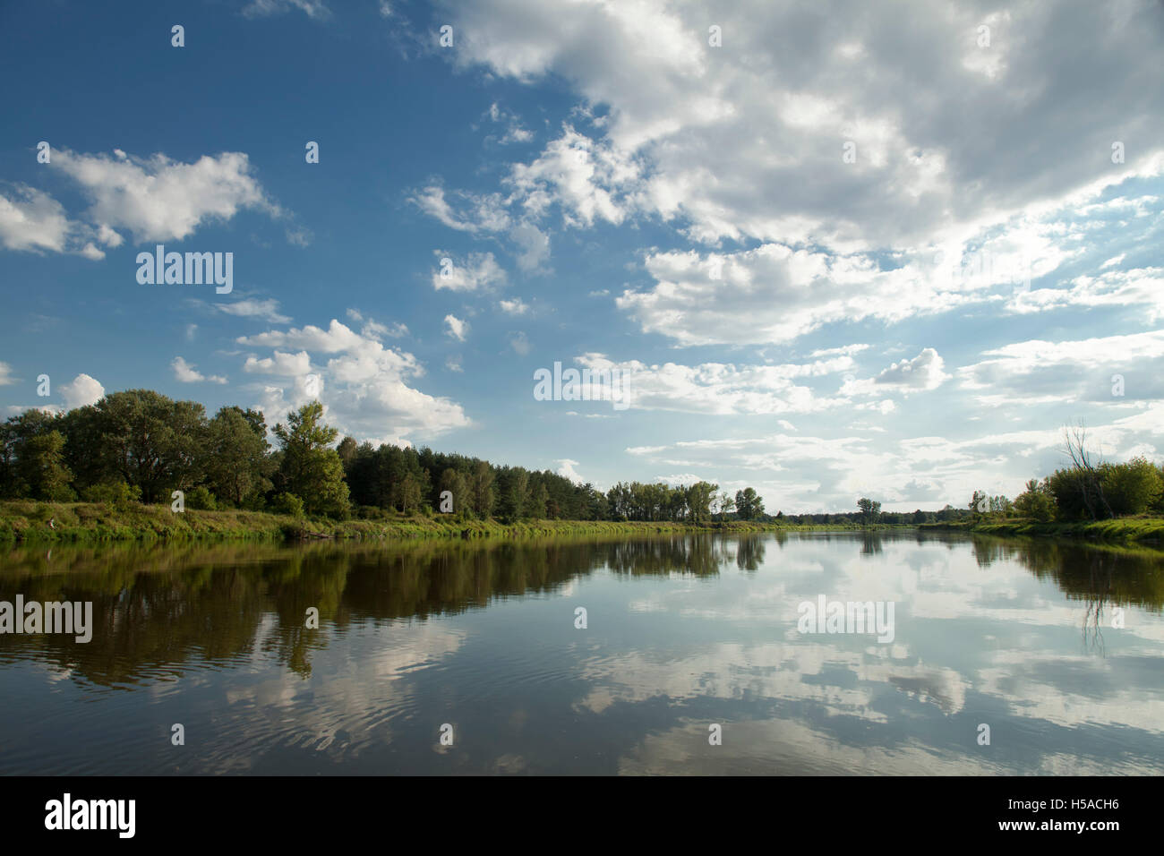 river with blue sky and white clouds, Bug river in Poland Stock Photo