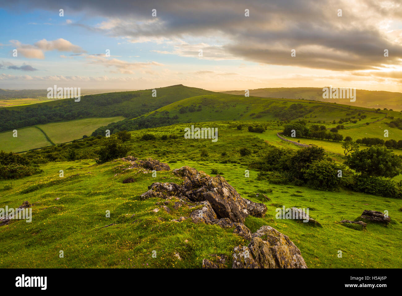 Wavering Down with Crook Peak beyond in the Mendip Hills. Somerset. England. Stock Photo