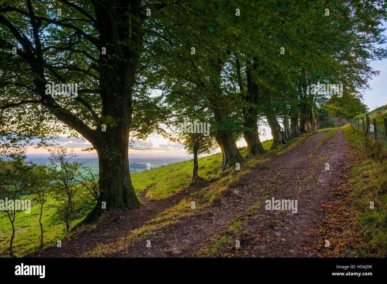 Draycott Sleights in the Mendip Hills. Somerset. England Stock Photo