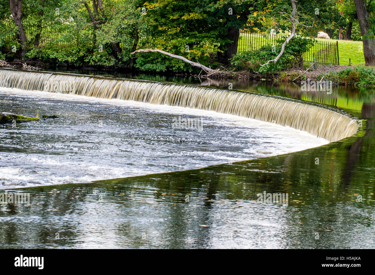 Horseshoe Falls River Dee White Water Berwyn Llangollon Wales Stock