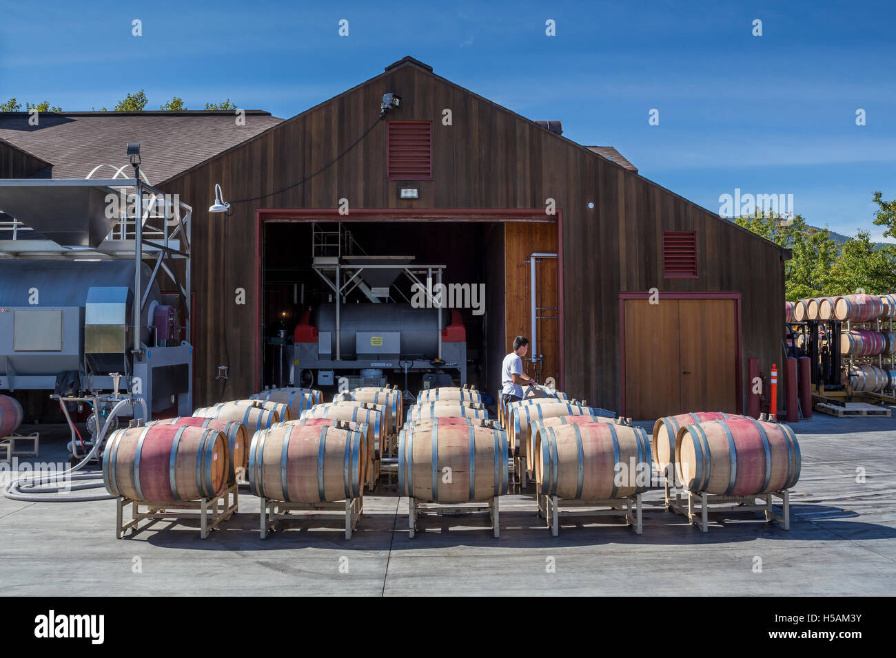 Filling wine barrels hires stock photography and images Alamy