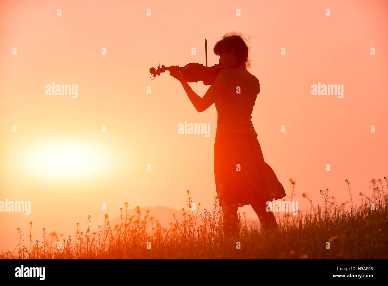 Woman playing a violin in a red sunset in nature in the meadow Stock ...