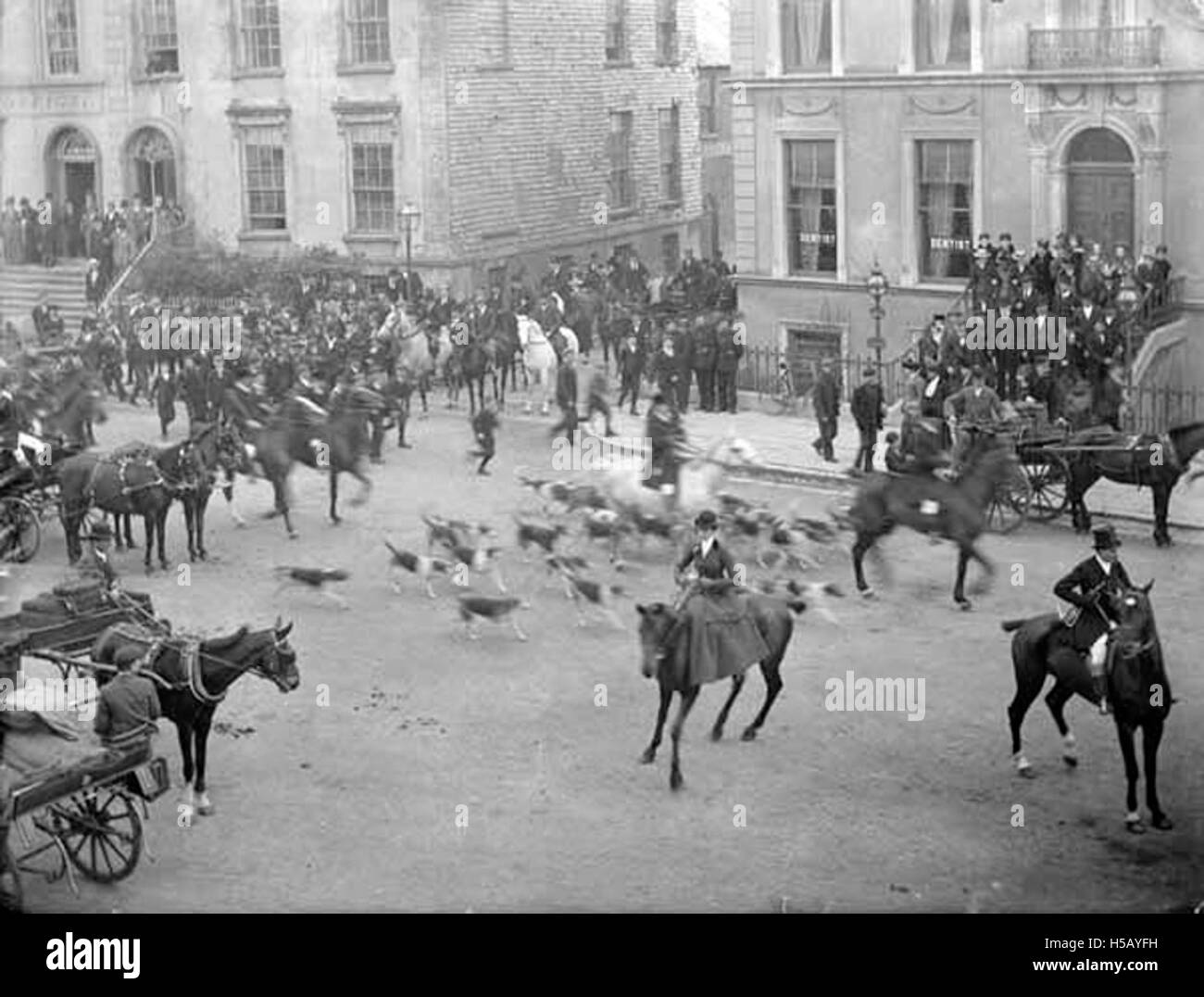 The opening meet of a hunt, likely a fox hunt, takes place as participants gather before heading off to Ballinakill. The hunt represents a traditional rural activity that has cultural significance in various regions, particularly in the UK and Ireland. Stock Photo