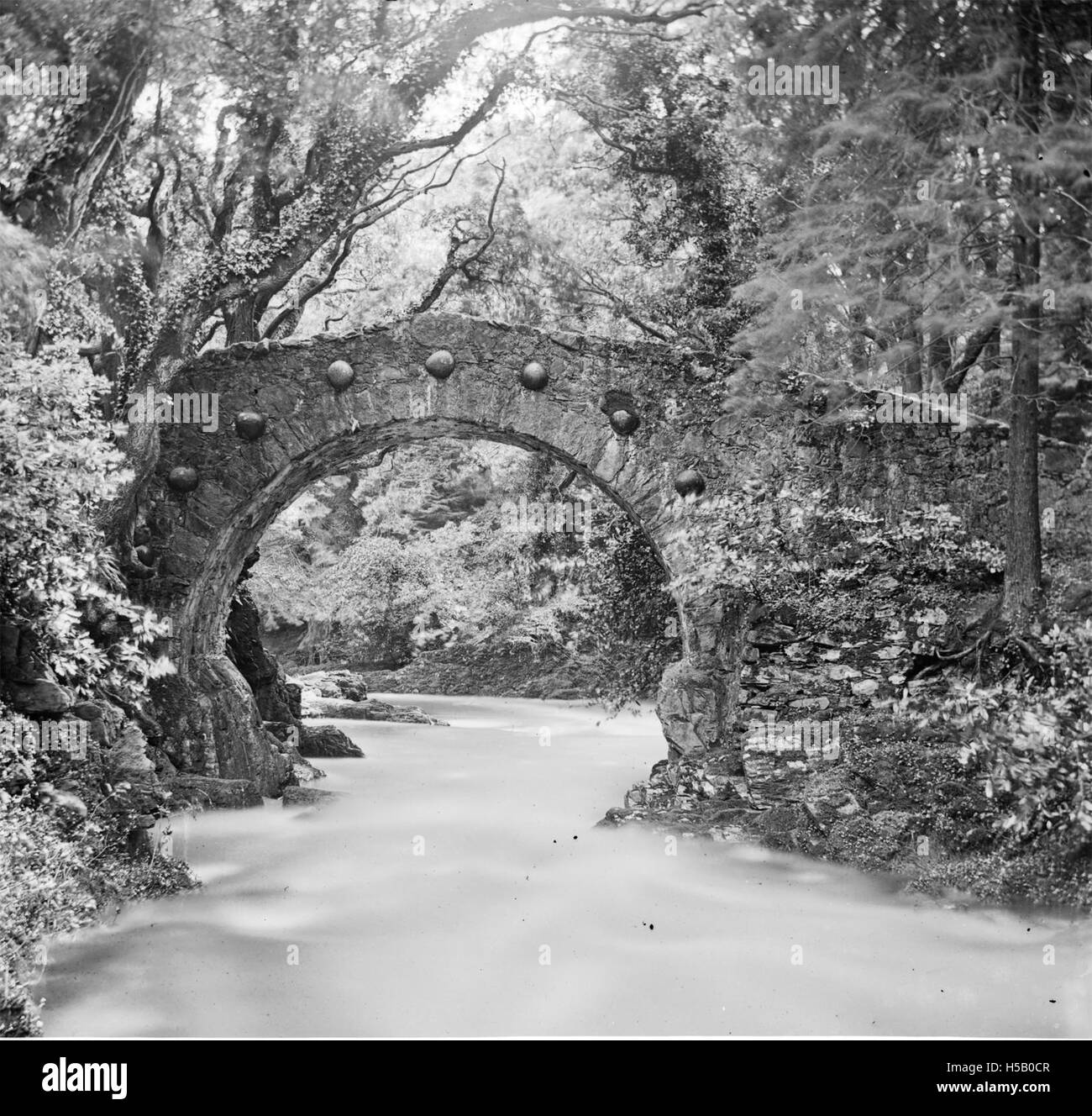 'Bridge of one rounded arch over river in woods, seven bosses round arch' = Foley's Bridge, Tollymore Stock Photo