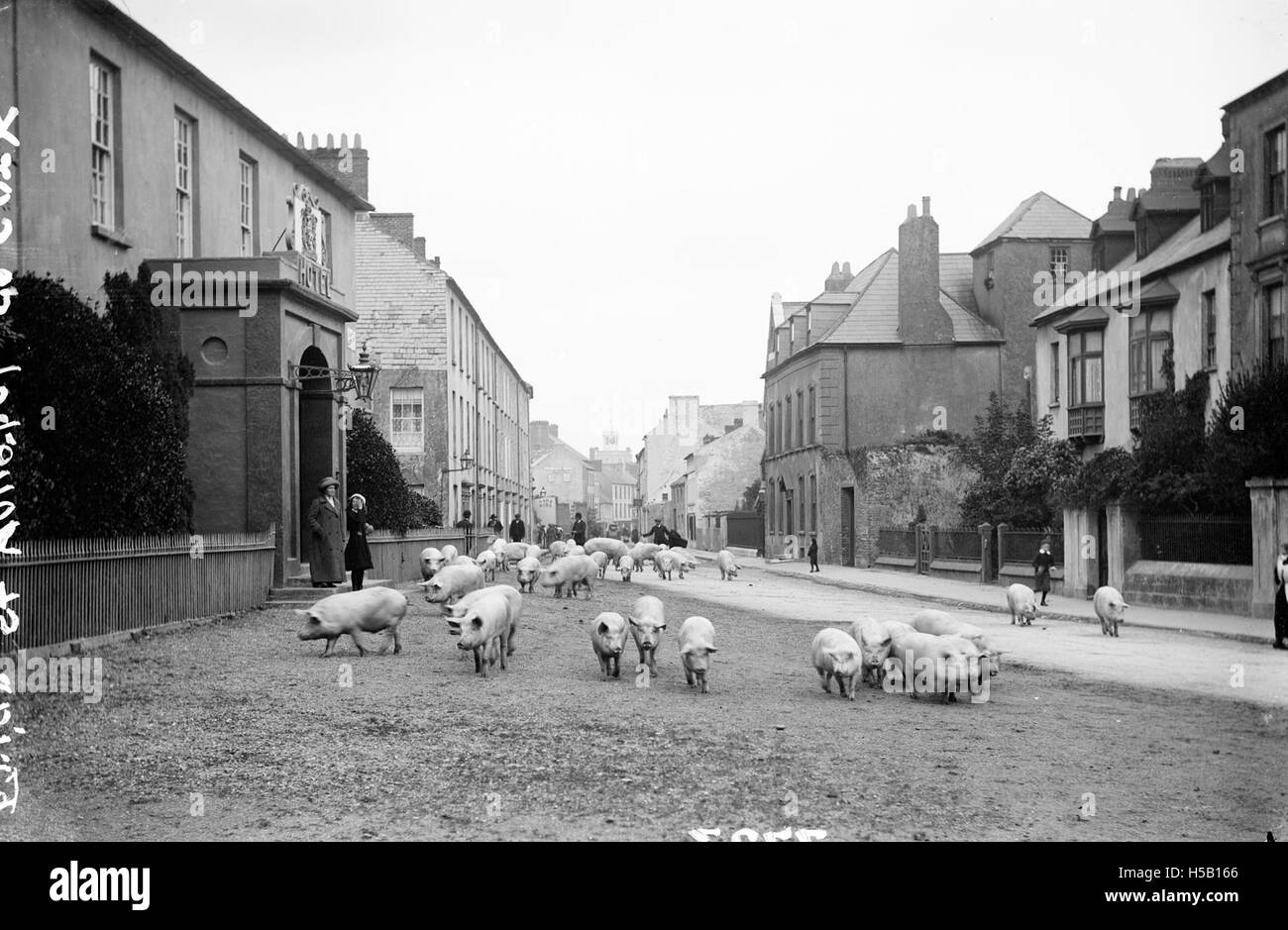 To market, to market… Stock Photo Alamy