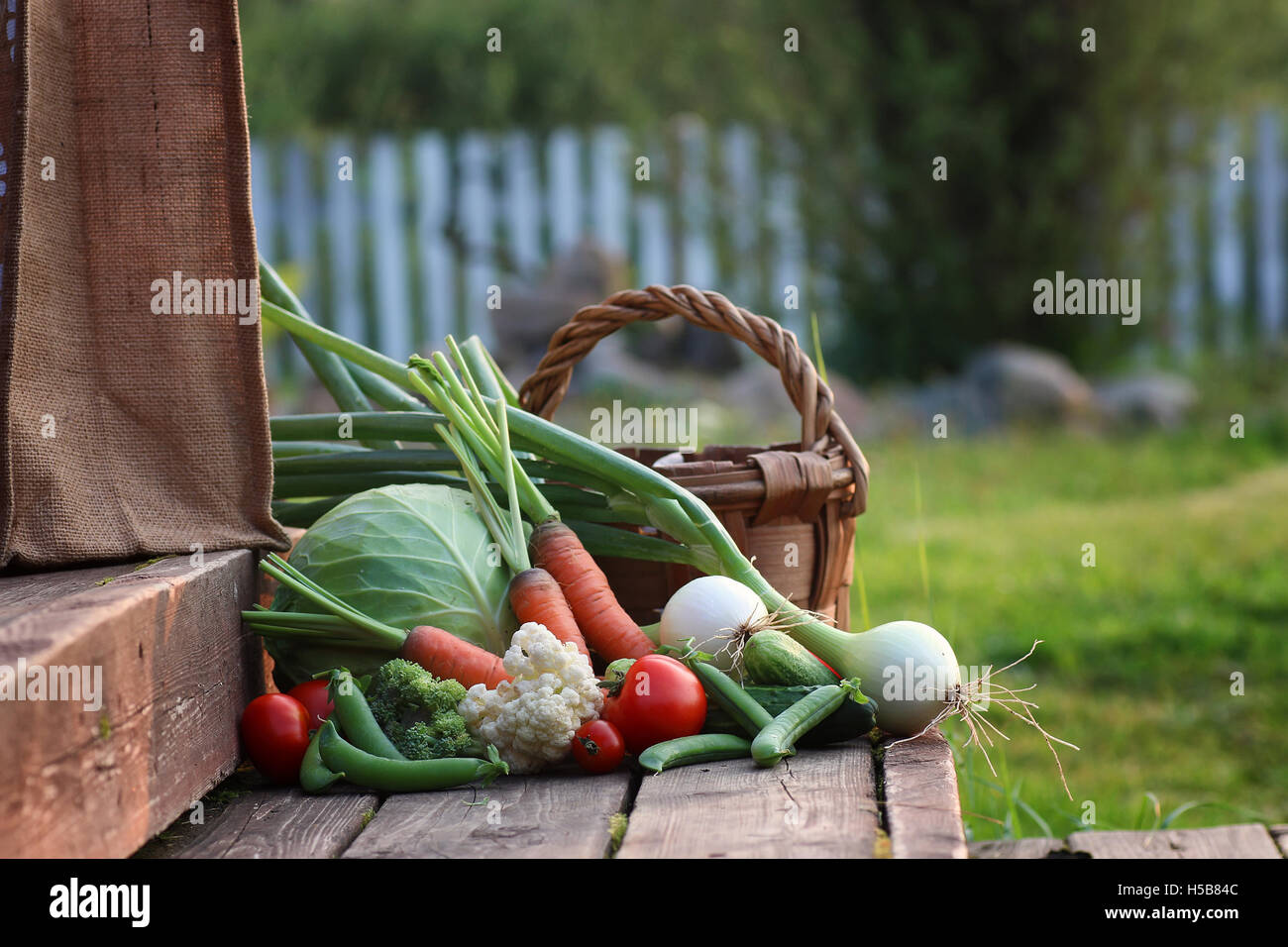 fresh vegetable harvest nature outdoor Stock Photo Alamy