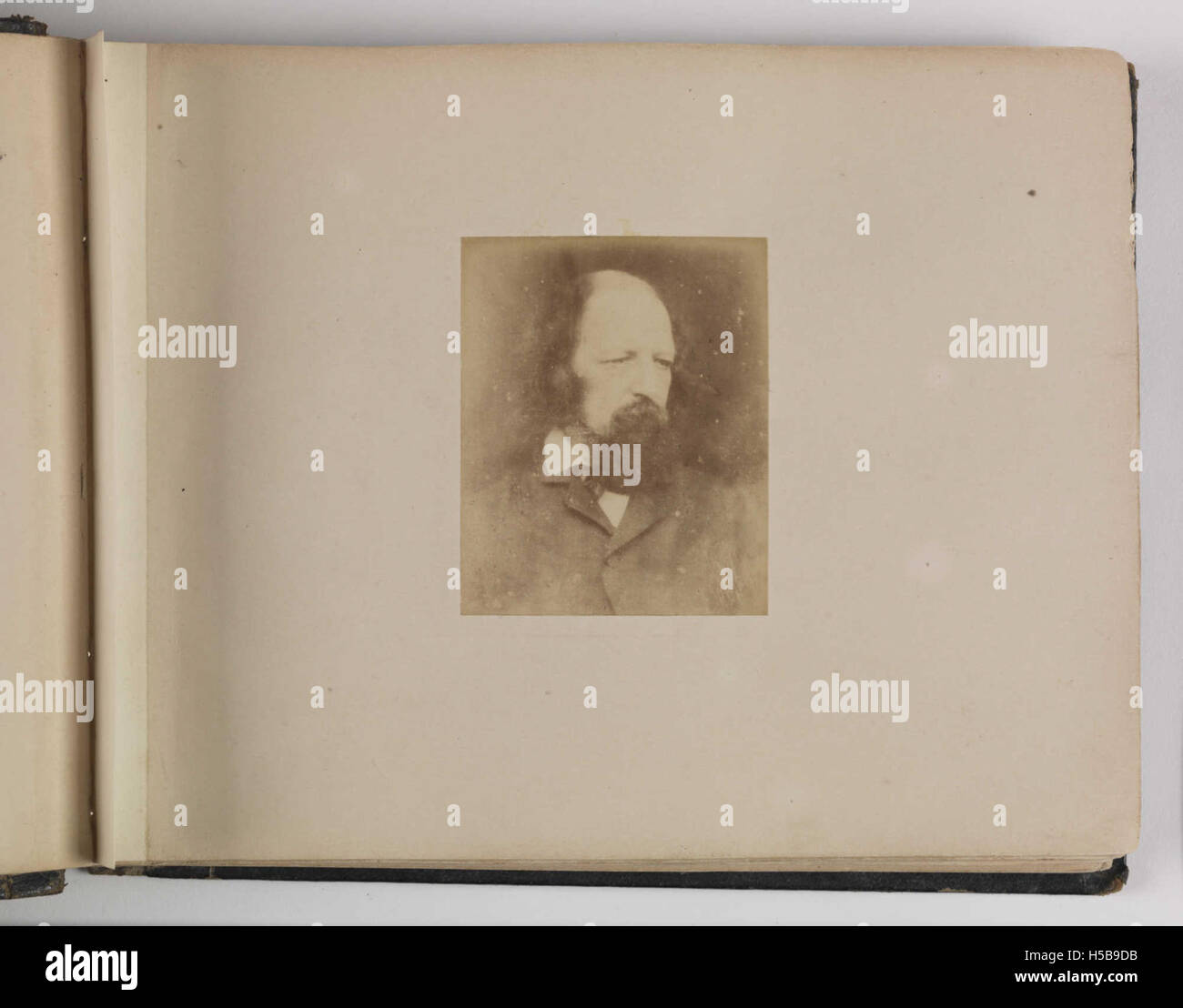 Alfred Tennyson, 1867 Stock Photo - Alamy