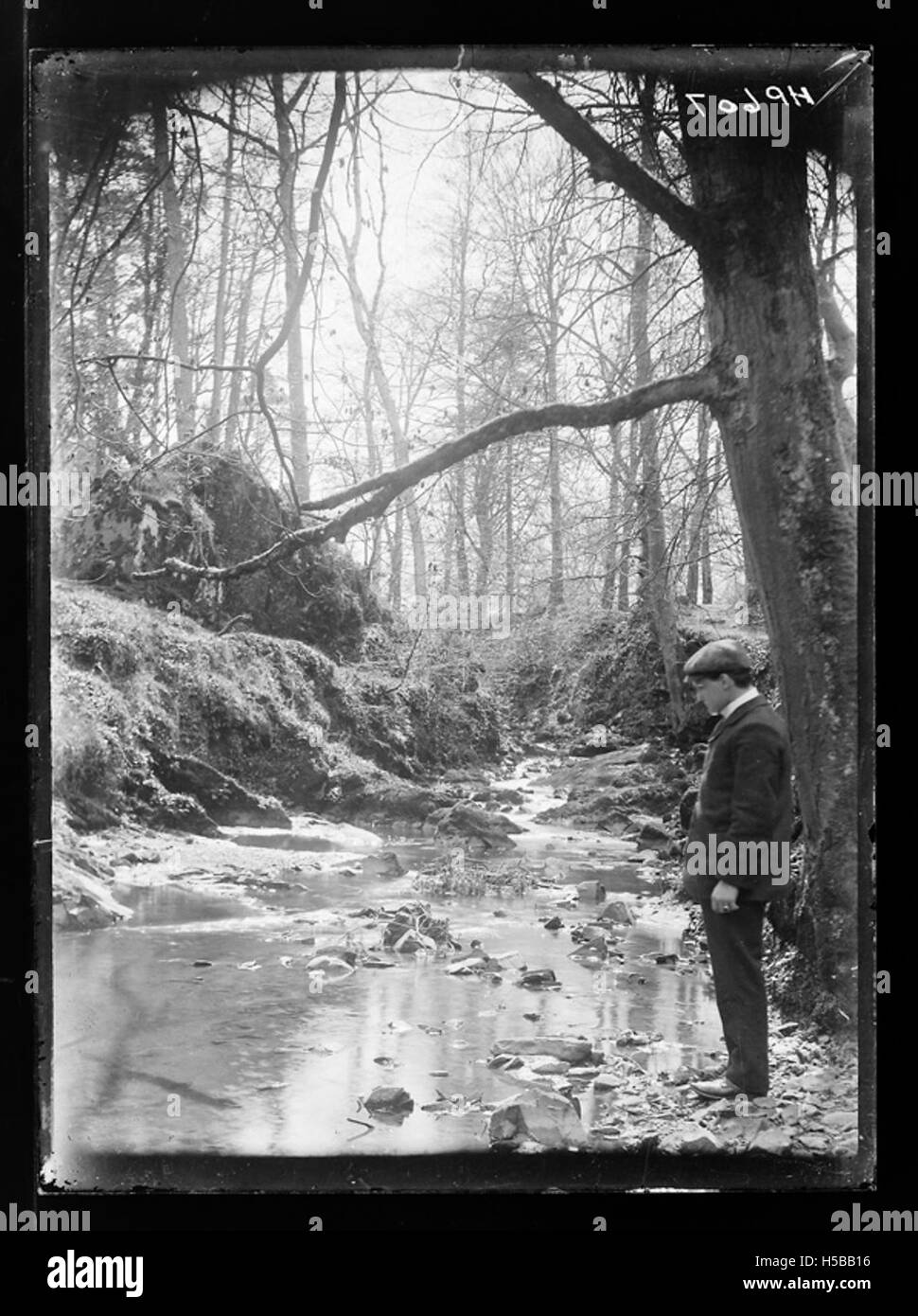The Folly, Armagh Stock Photo Alamy