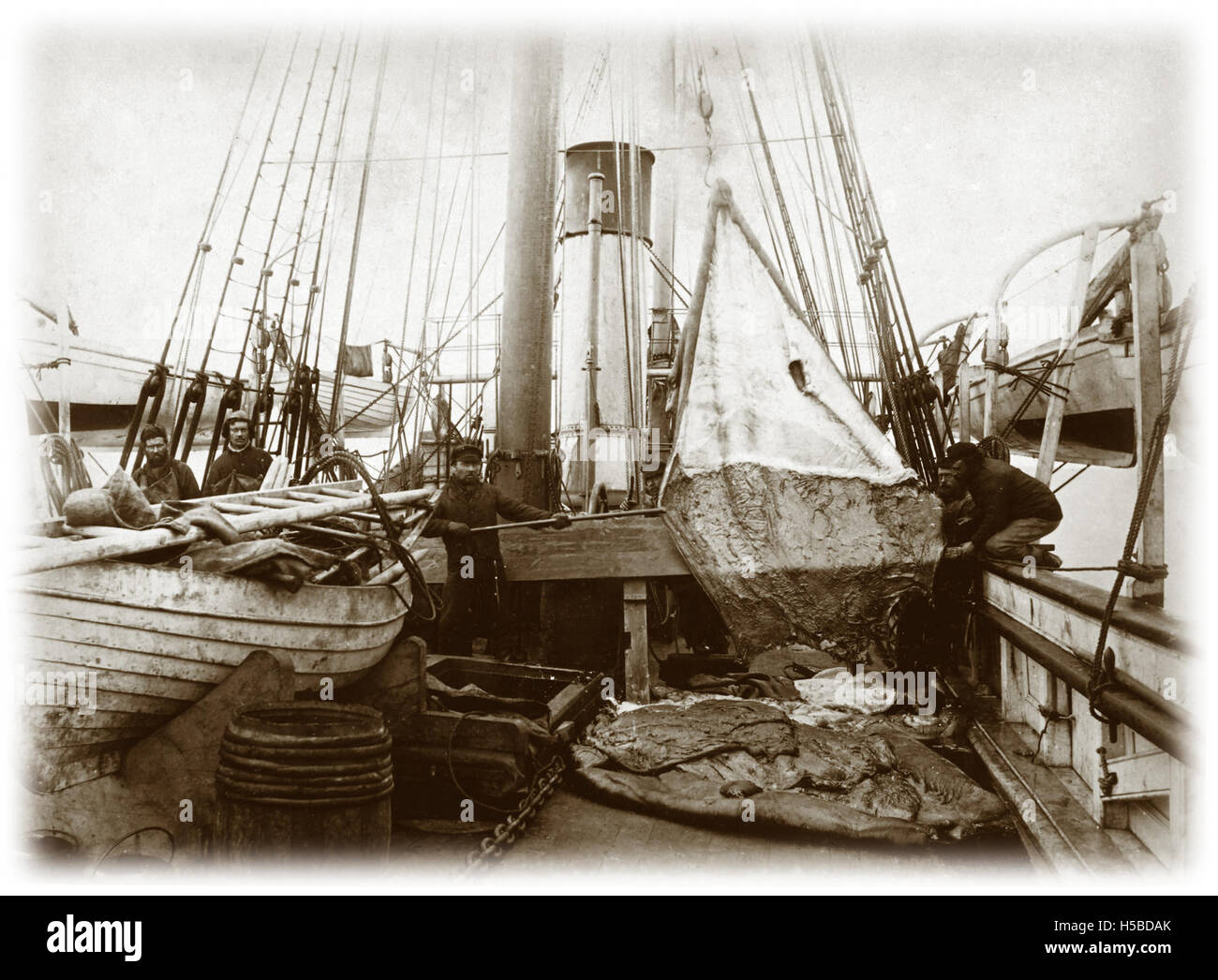A black-and-white photograph from a polar exploration, likely capturing ...