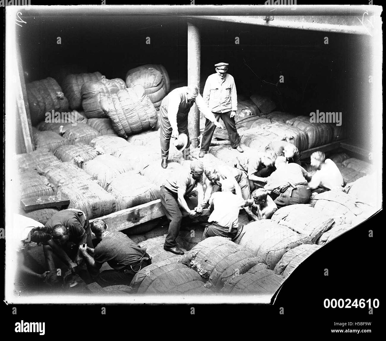 In March 1933, a group of men is shown packing bales of wool into the ...