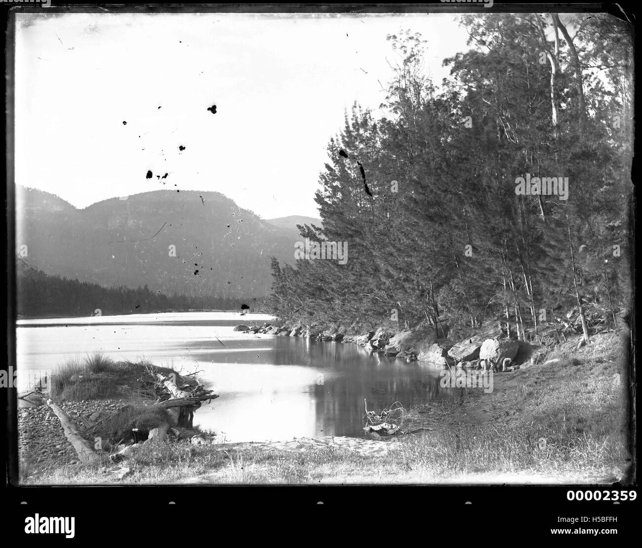 This riverscape, likely along the Hawkesbury River in New South Wales, captures the tranquil beauty of the river during the late 19th to early 20th century. It showcases the natural environment and river life of the region. Stock Photo