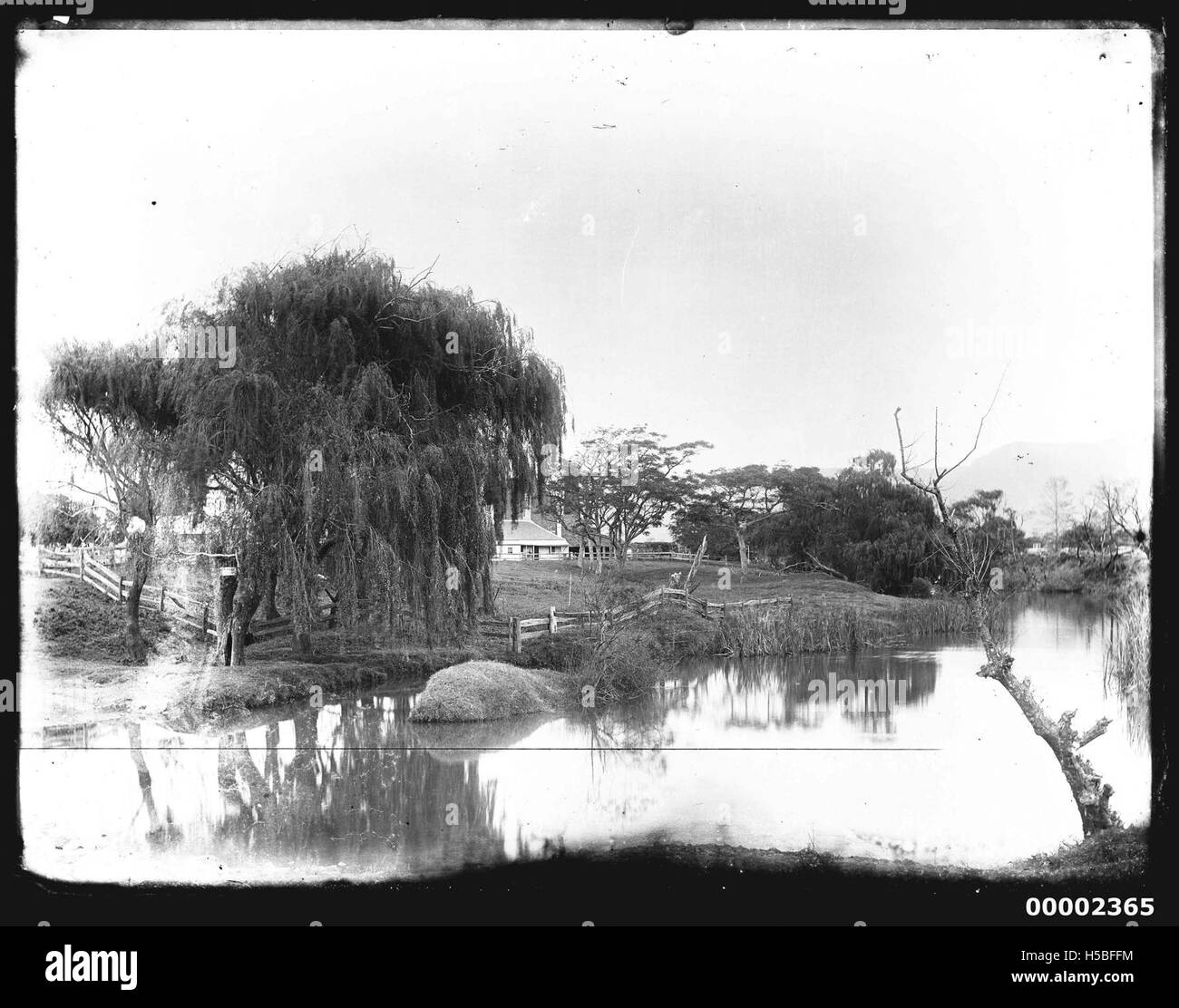 Australian Festivals Black and White Stock Photos & Images - Alamy