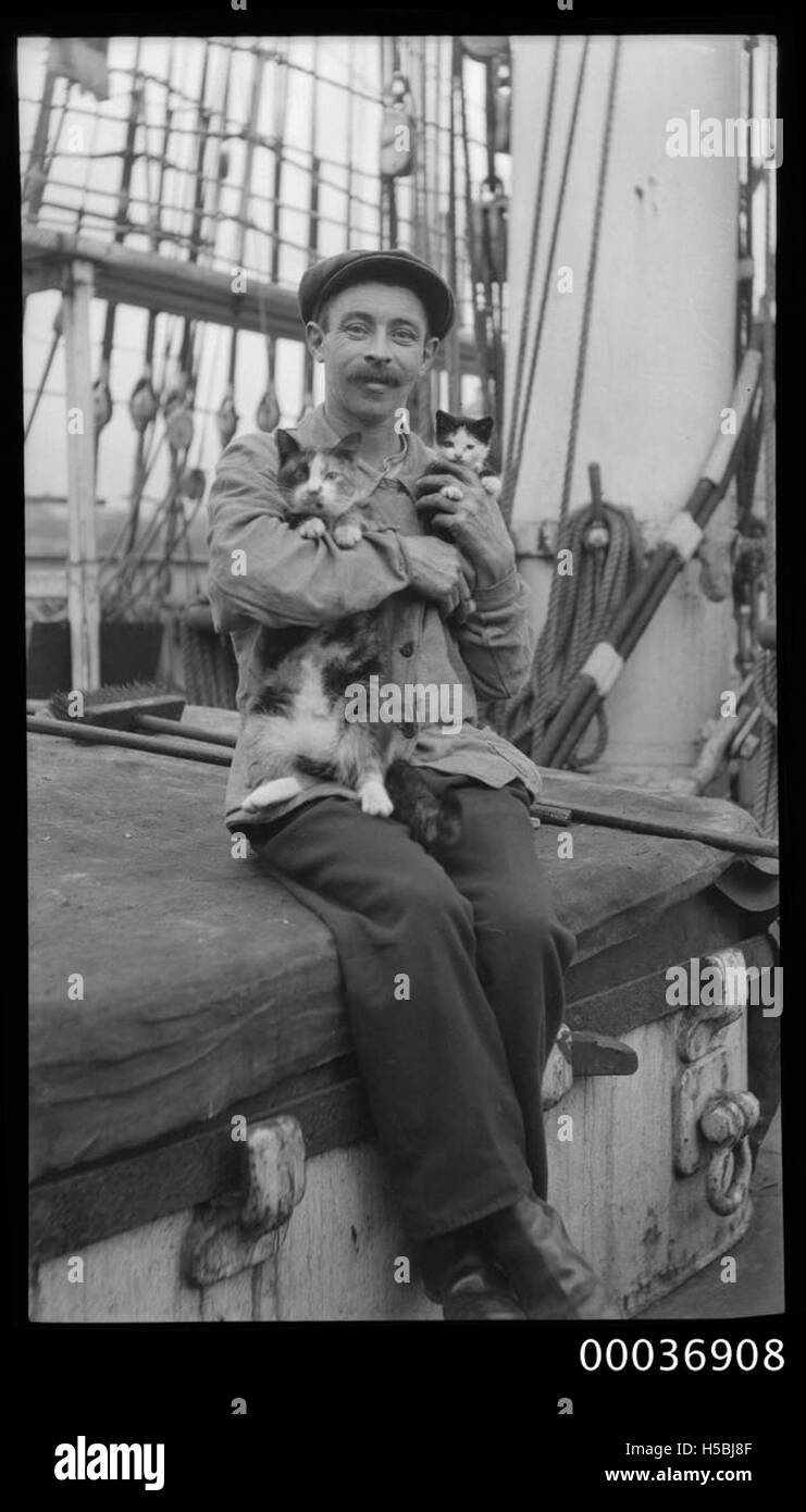 A photograph from around 1910 showing a seaman with a cat and kitten ...