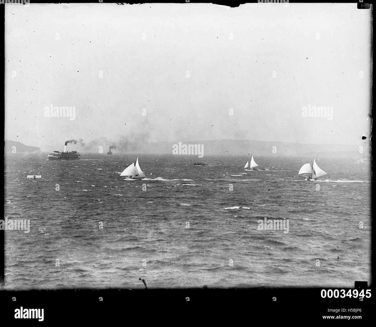 5 Three sloops racing near a ferry in Sydney Harbour Stock Photo - Alamy