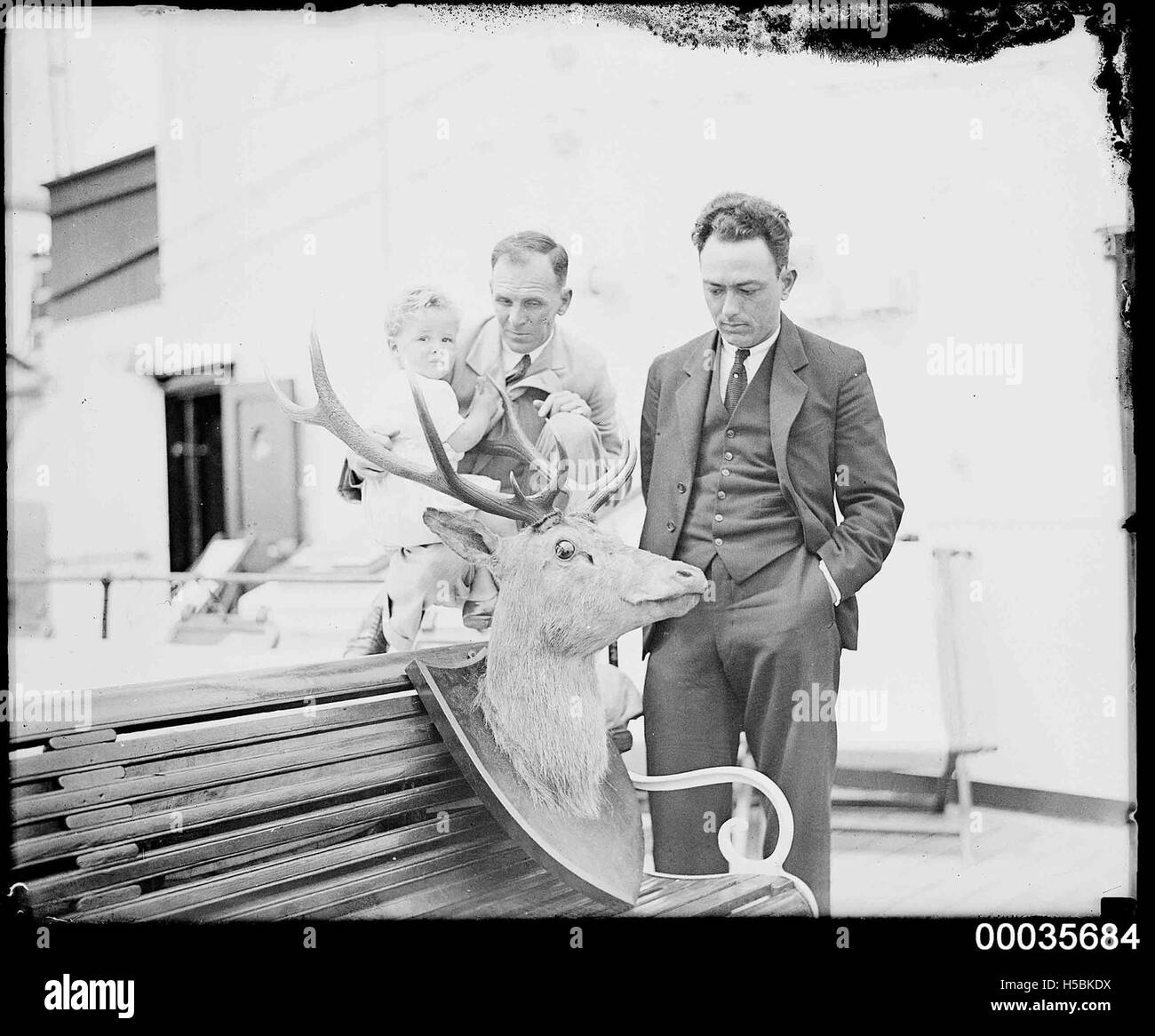 Two men and a child looking at a mounted deer head on board SS ORUNGAL, c 1930 Stock Photo
