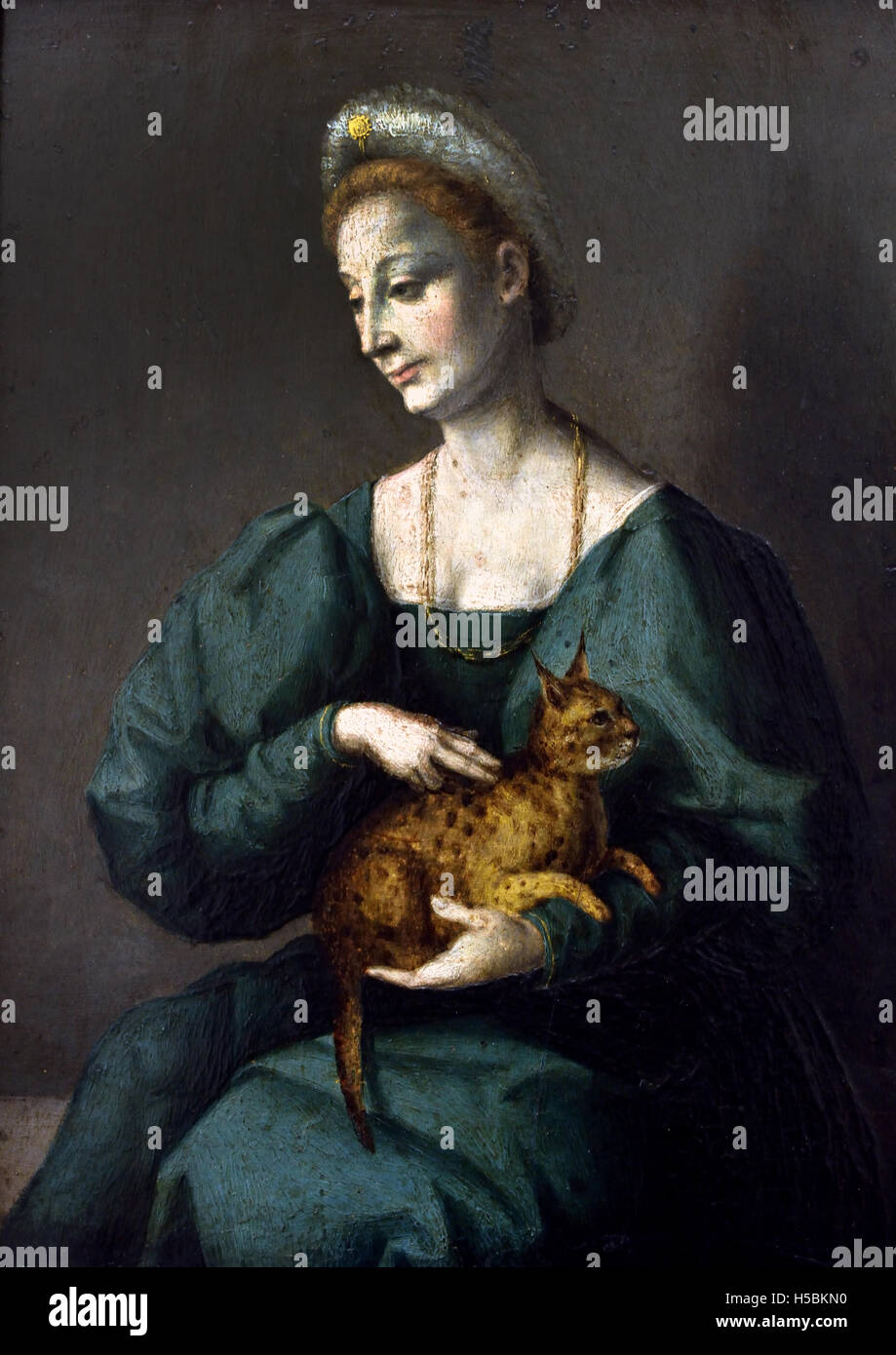 Portrait of a Woman with a Panther cat  by Francesco d'Ubertino Verdi - Bachiacca - Francesco Ubertini (1494–1557) Italian painter of the Renaissance whose work is characteristic of the Florentine Mannerist style. Italy Stock Photo