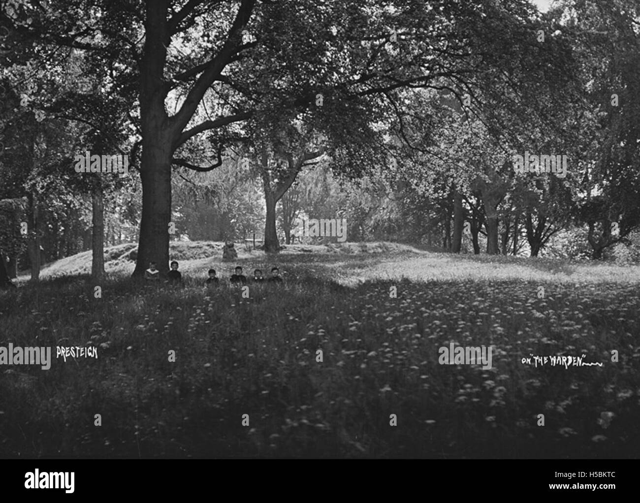 Presteign [i.e. Presteigne] on 'The Warden' Stock Photo Alamy