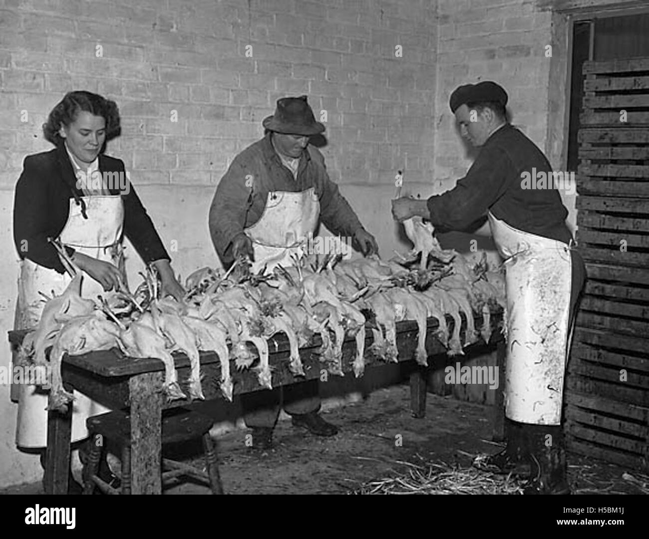 Company potential Black and White Stock Photos Images Alamy