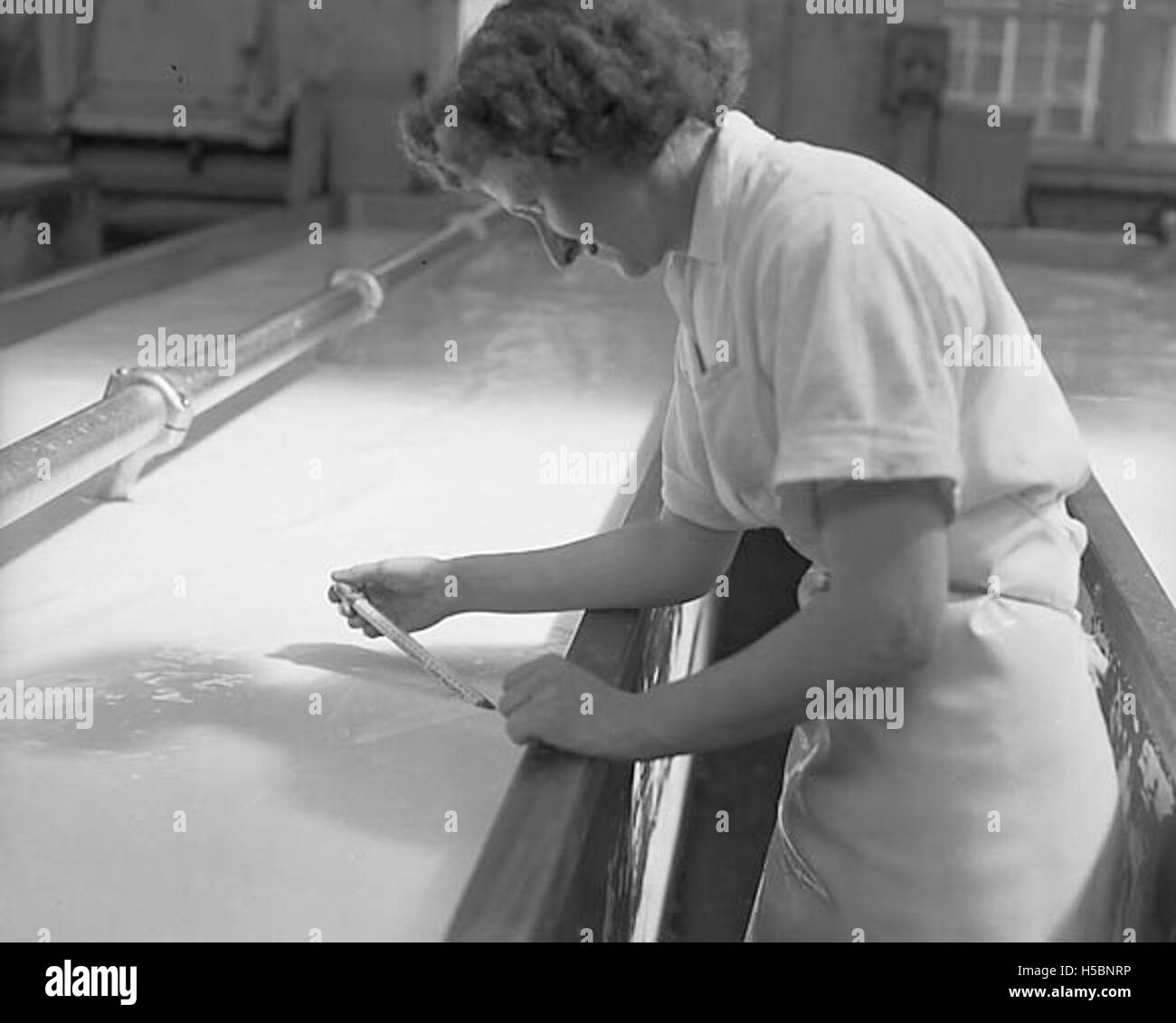 Cheese making at the United Dairies Creamery, Ellesmere Stock Photo