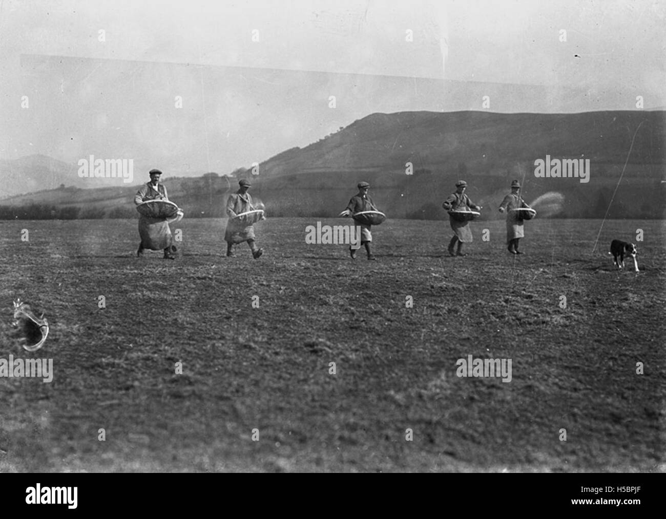 Sowing Seed Black and White Stock Photos & Images - Alamy