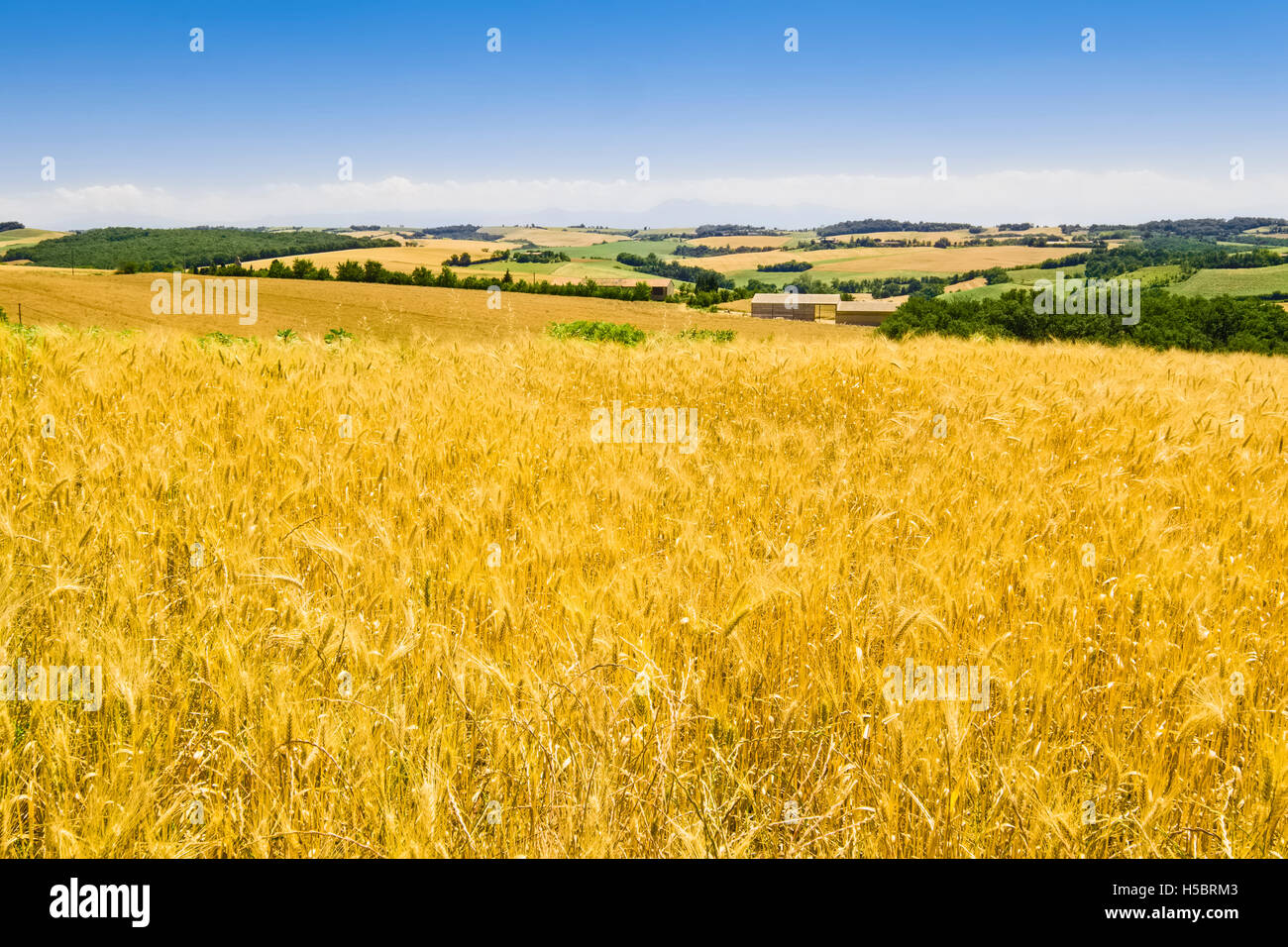 Landscape near Toulouse, France Stock Photo