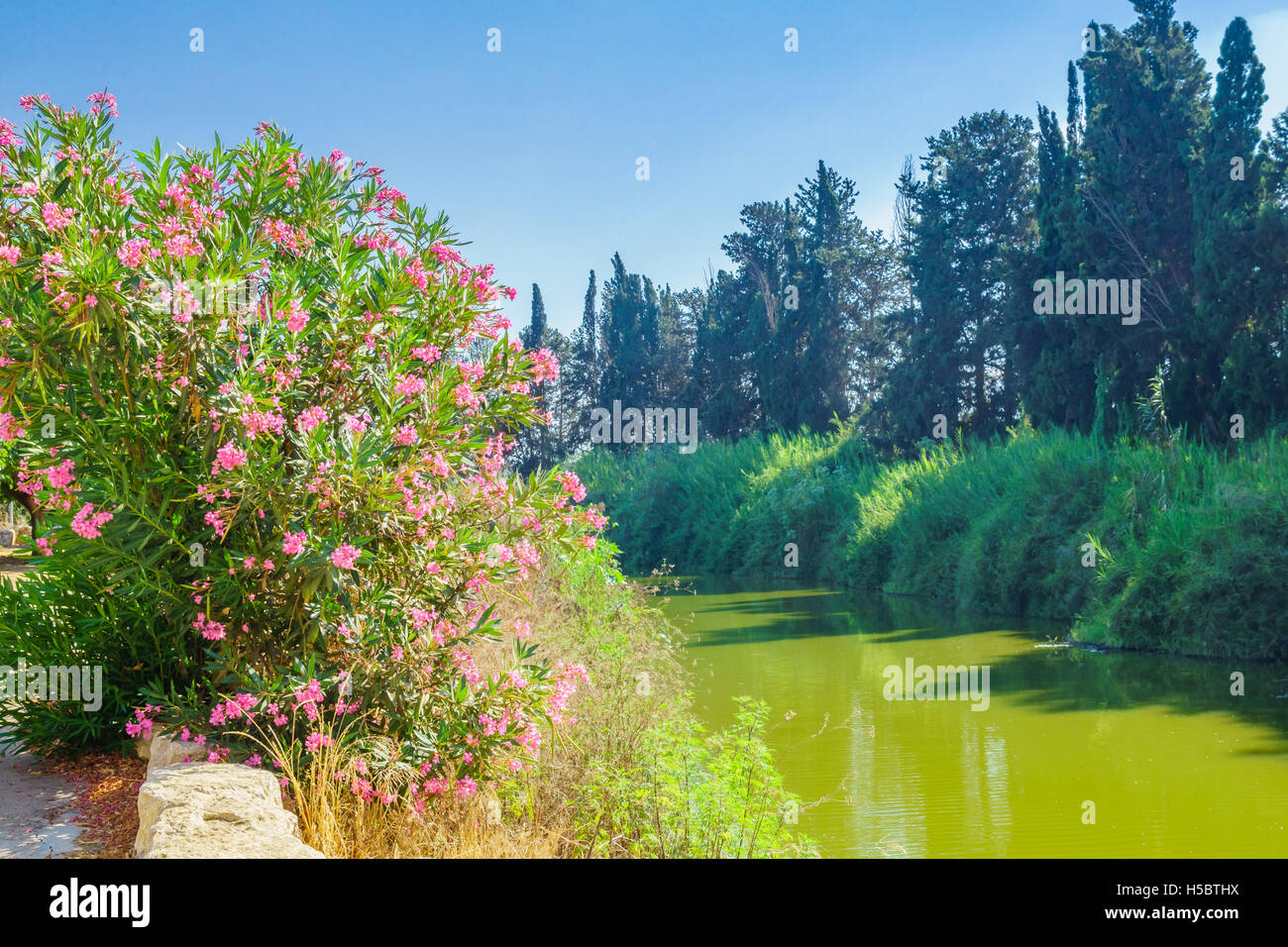 View of Nahal Alexander (Alexander stream) nature reserve. Israel Stock Photo