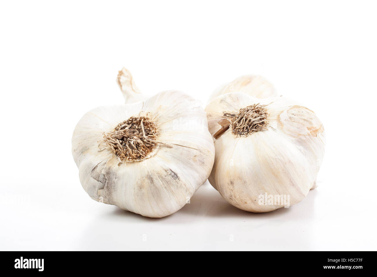Garlics in studio. Garlic is one of the most powerful natural medicine