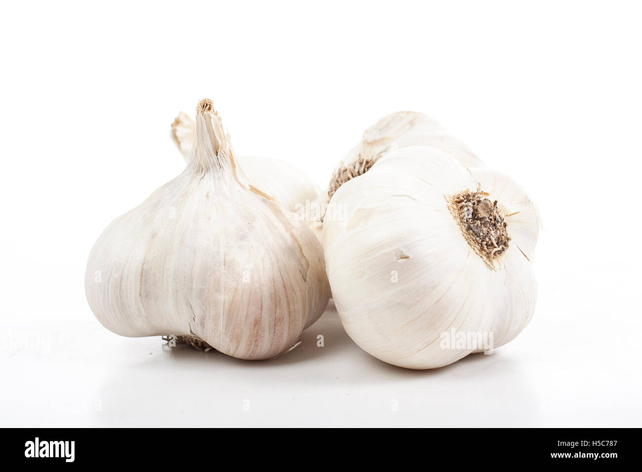 Garlics in studio. Garlic is one of the most powerful natural medicine ...