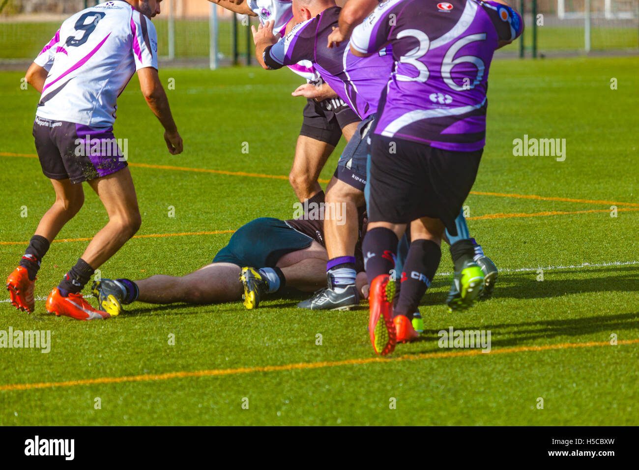 male adult rugby match Stock Photo - Alamy