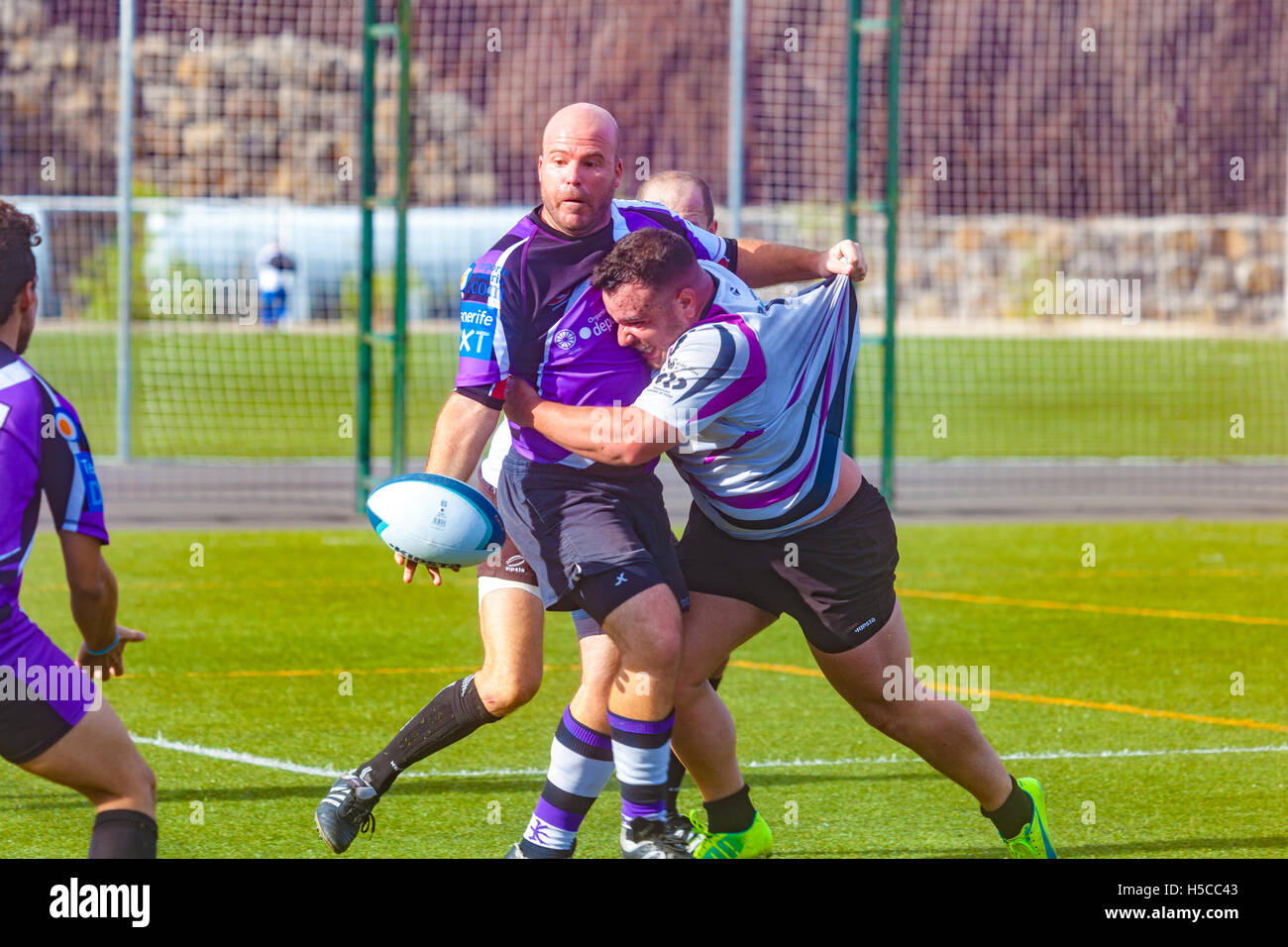 male adult rugby match Stock Photo Alamy