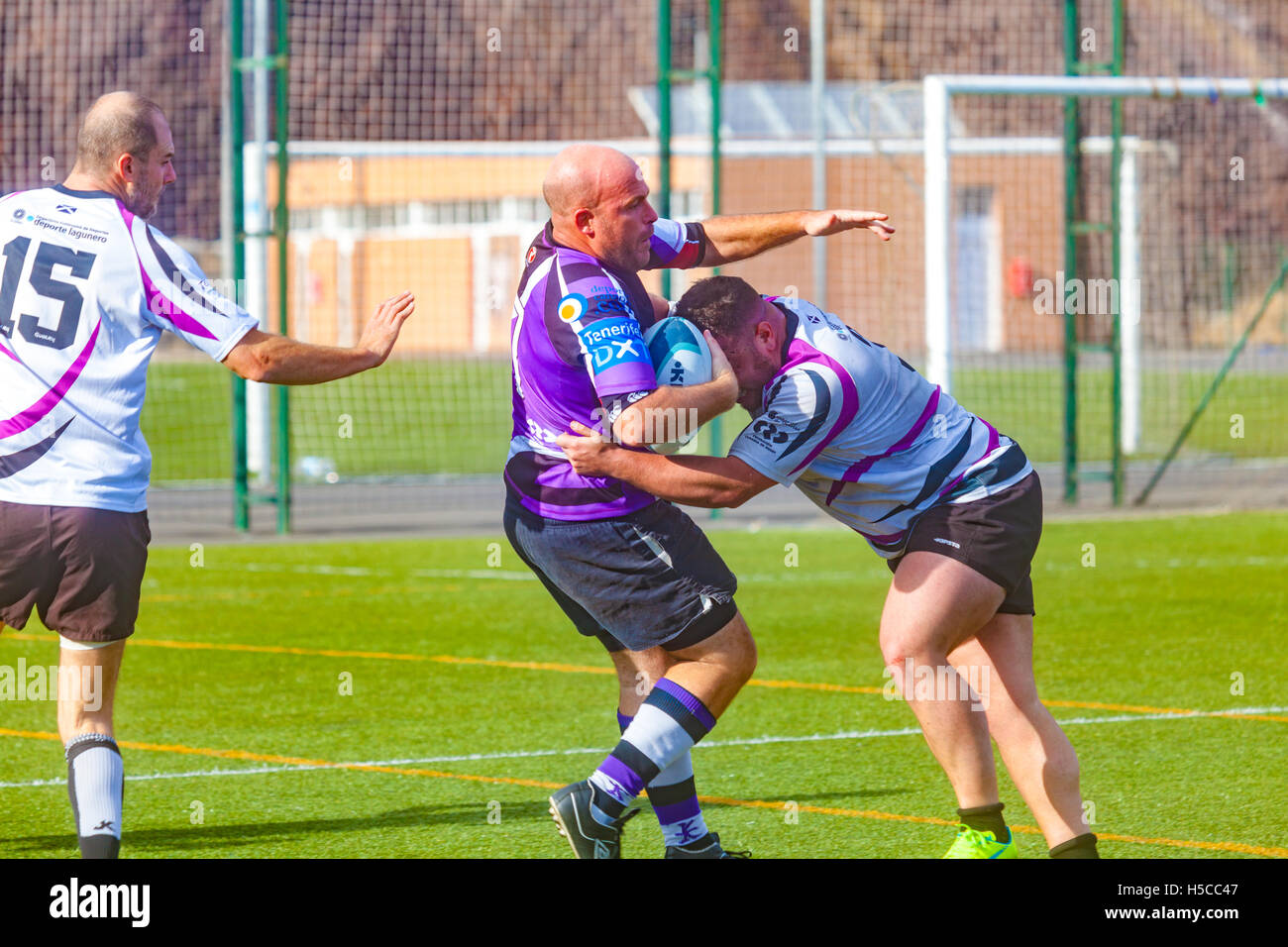 male adult rugby match Stock Photo Alamy