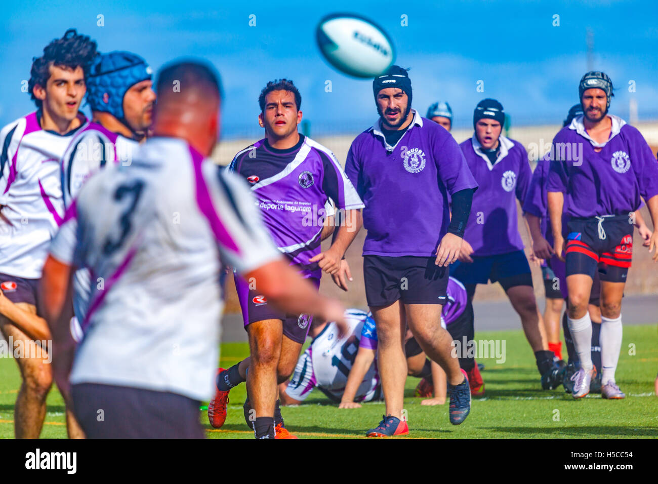male adult rugby match Stock Photo - Alamy
