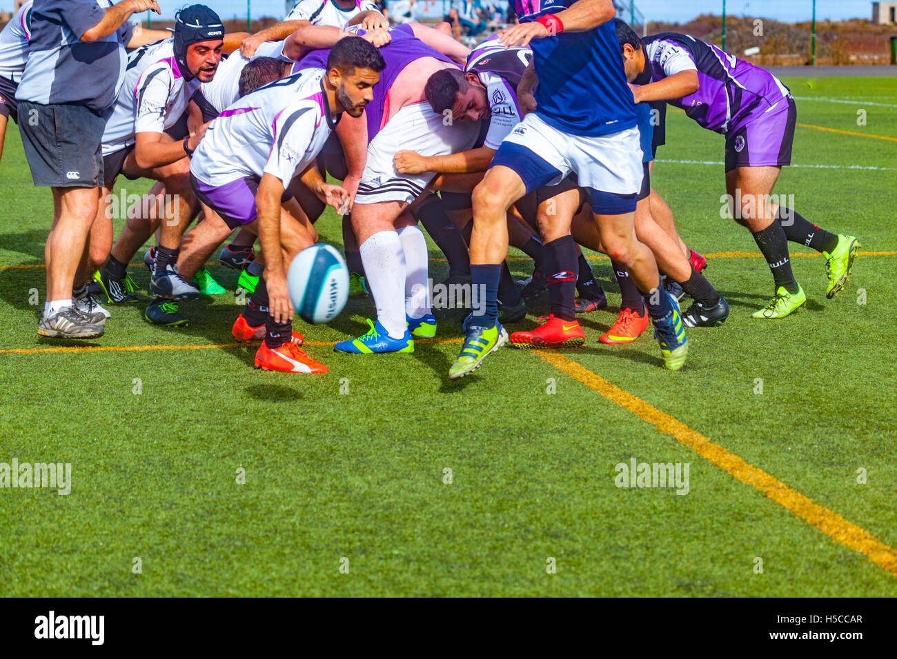 male adult rugby match Stock Photo - Alamy