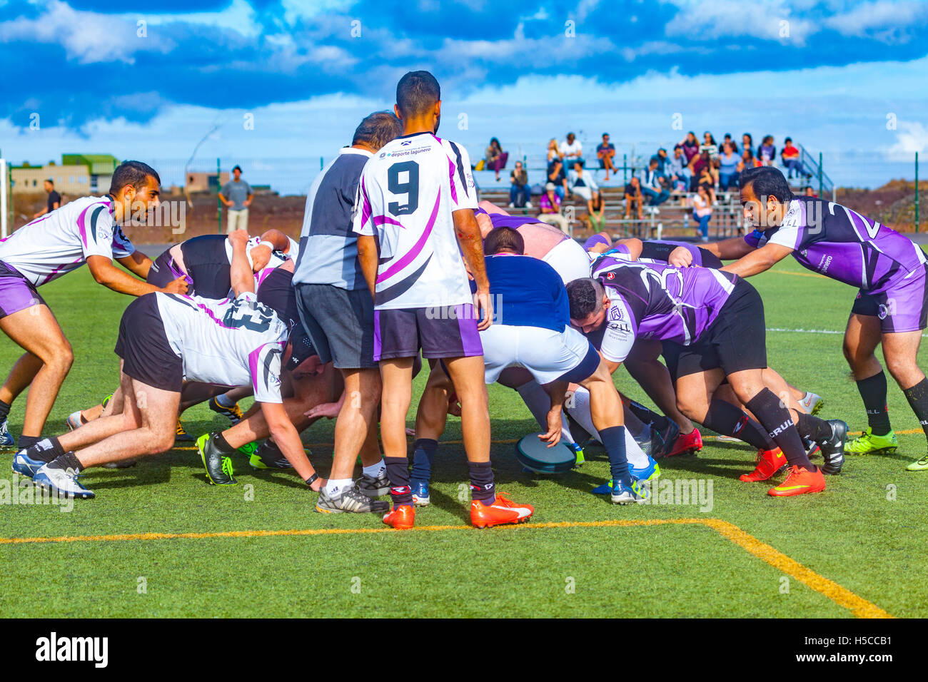 male adult rugby match Stock Photo Alamy