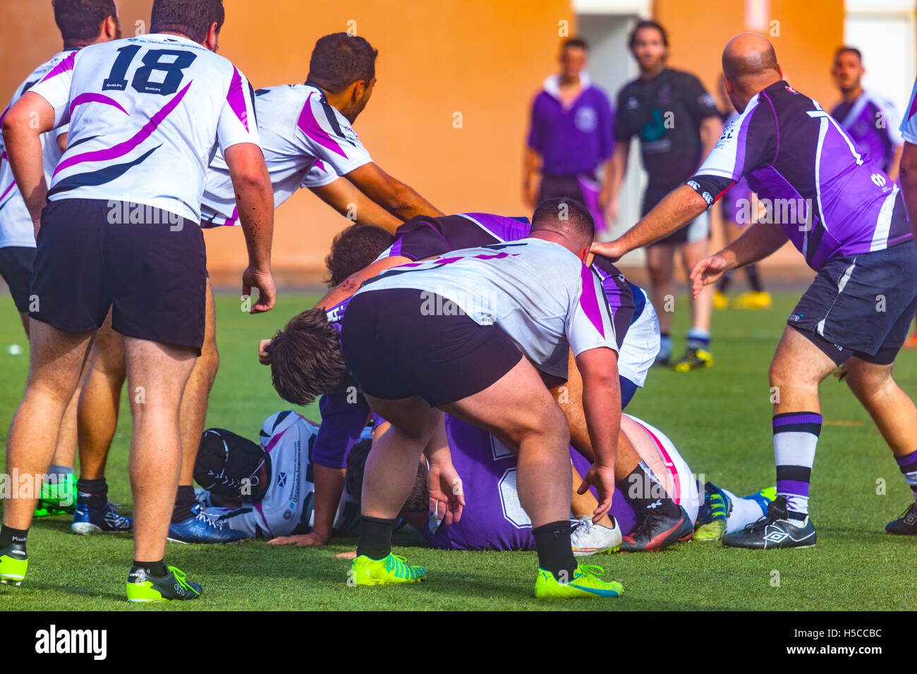 male adult rugby match Stock Photo Alamy