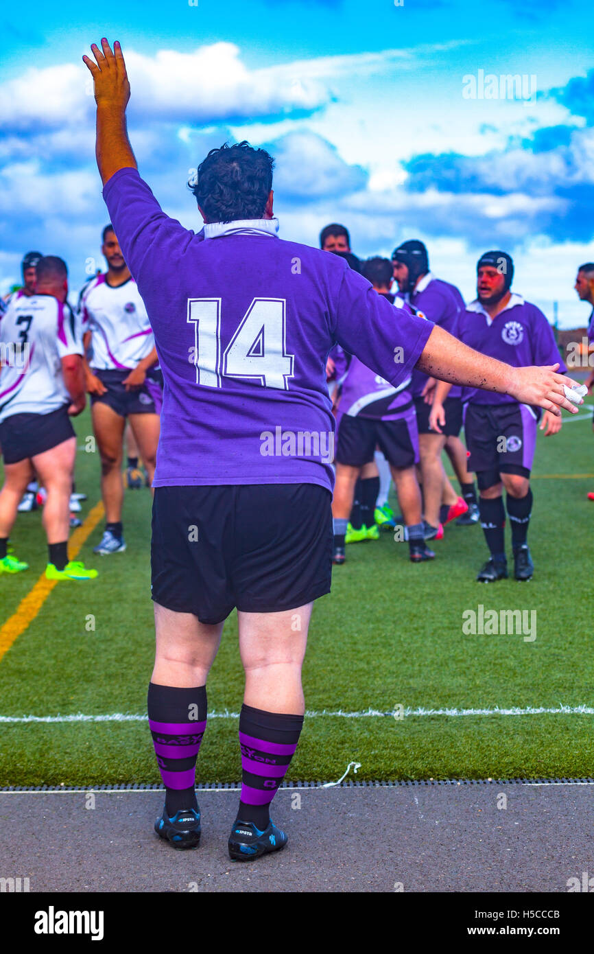 male adult rugby match Stock Photo - Alamy