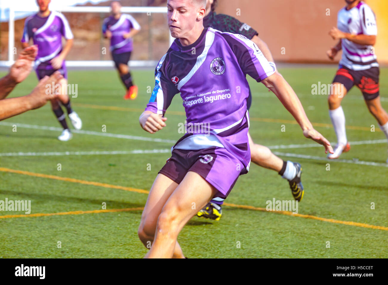 male adult rugby match Stock Photo - Alamy