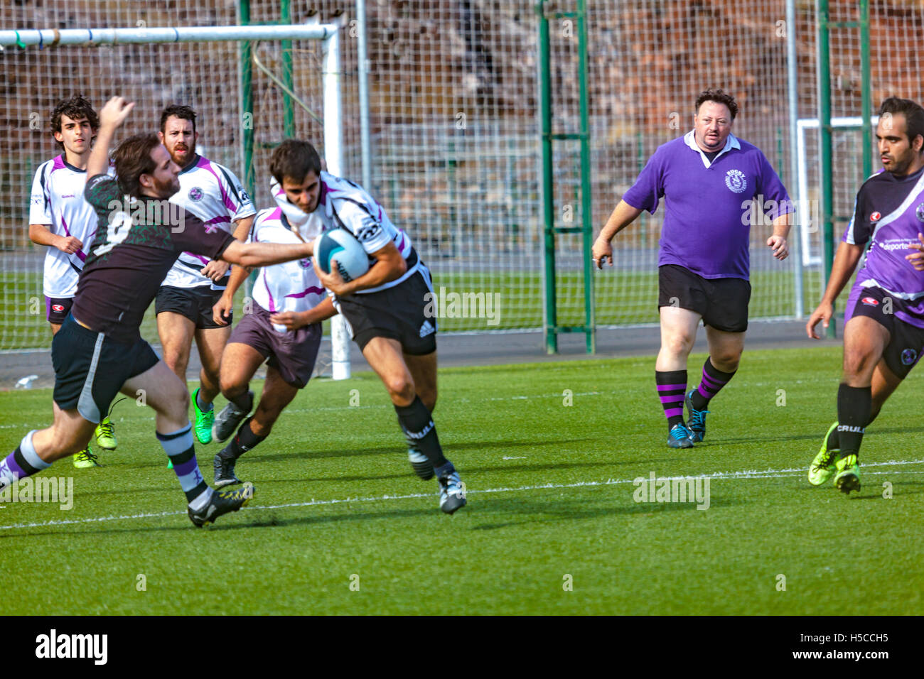 male adult rugby match Stock Photo - Alamy