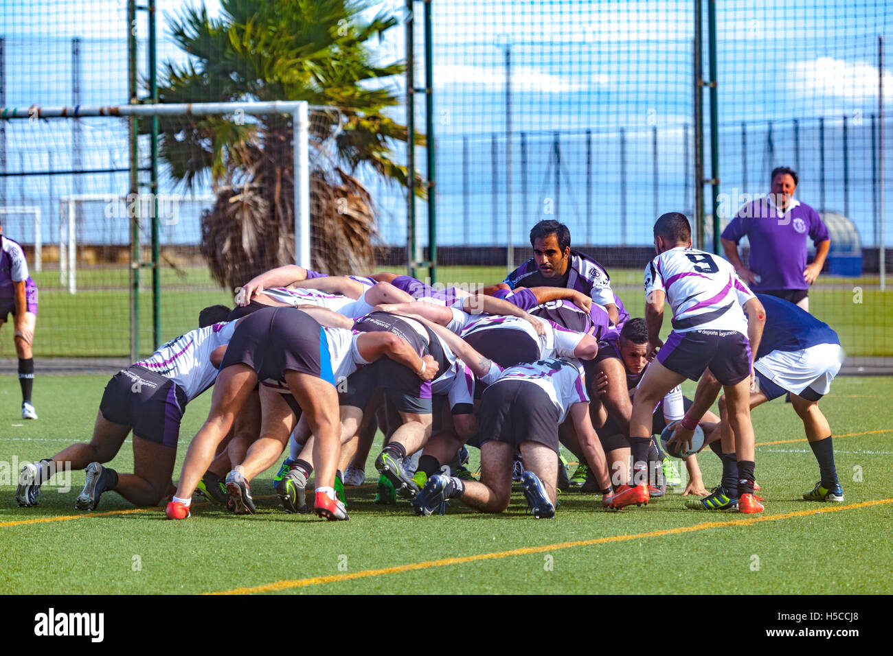 male adult rugby match Stock Photo - Alamy
