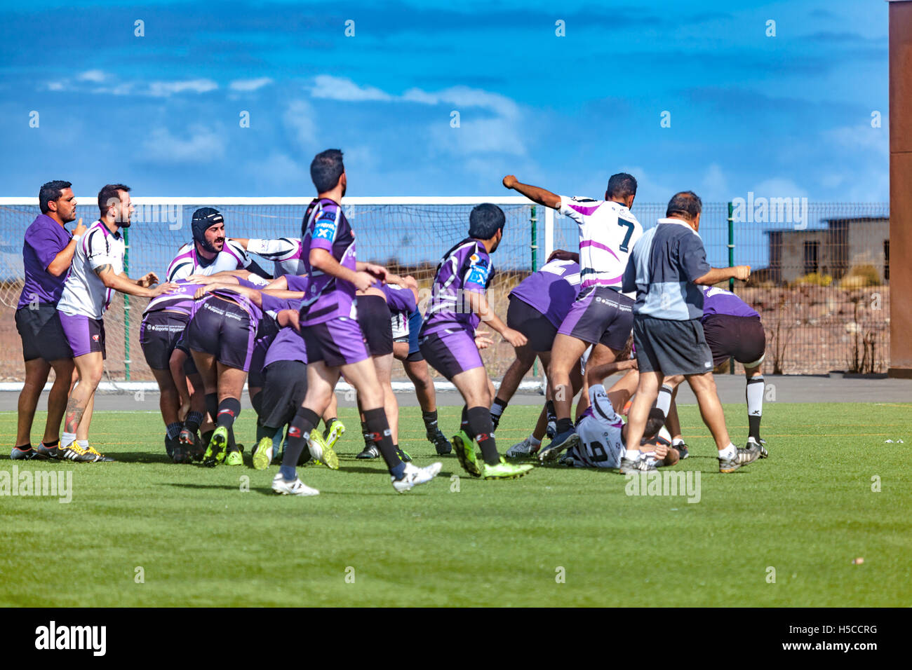 male adult rugby match Stock Photo Alamy