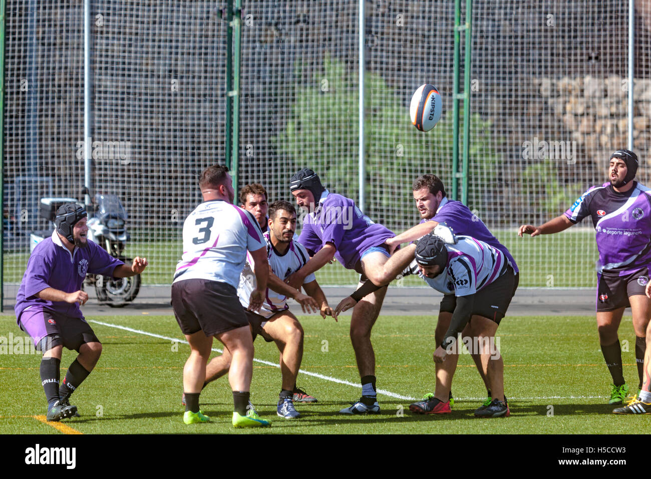 male adult rugby match Stock Photo Alamy
