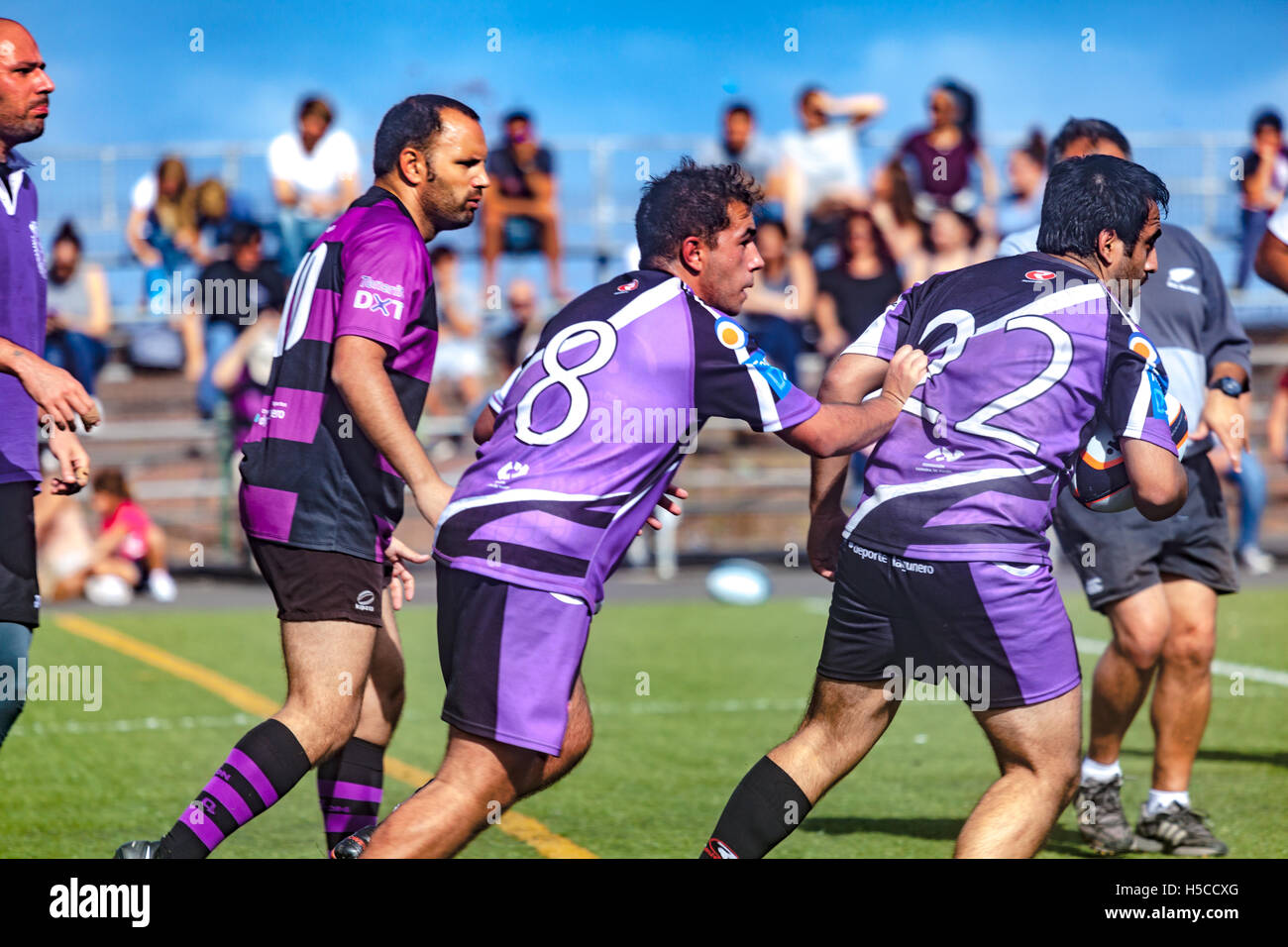 male adult rugby match Stock Photo Alamy
