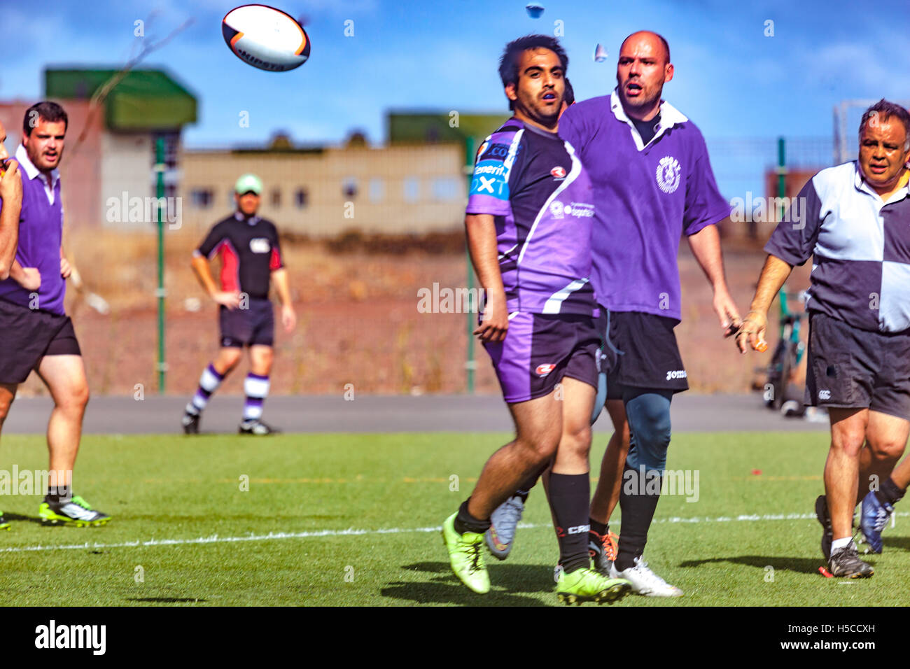 male adult rugby match Stock Photo - Alamy