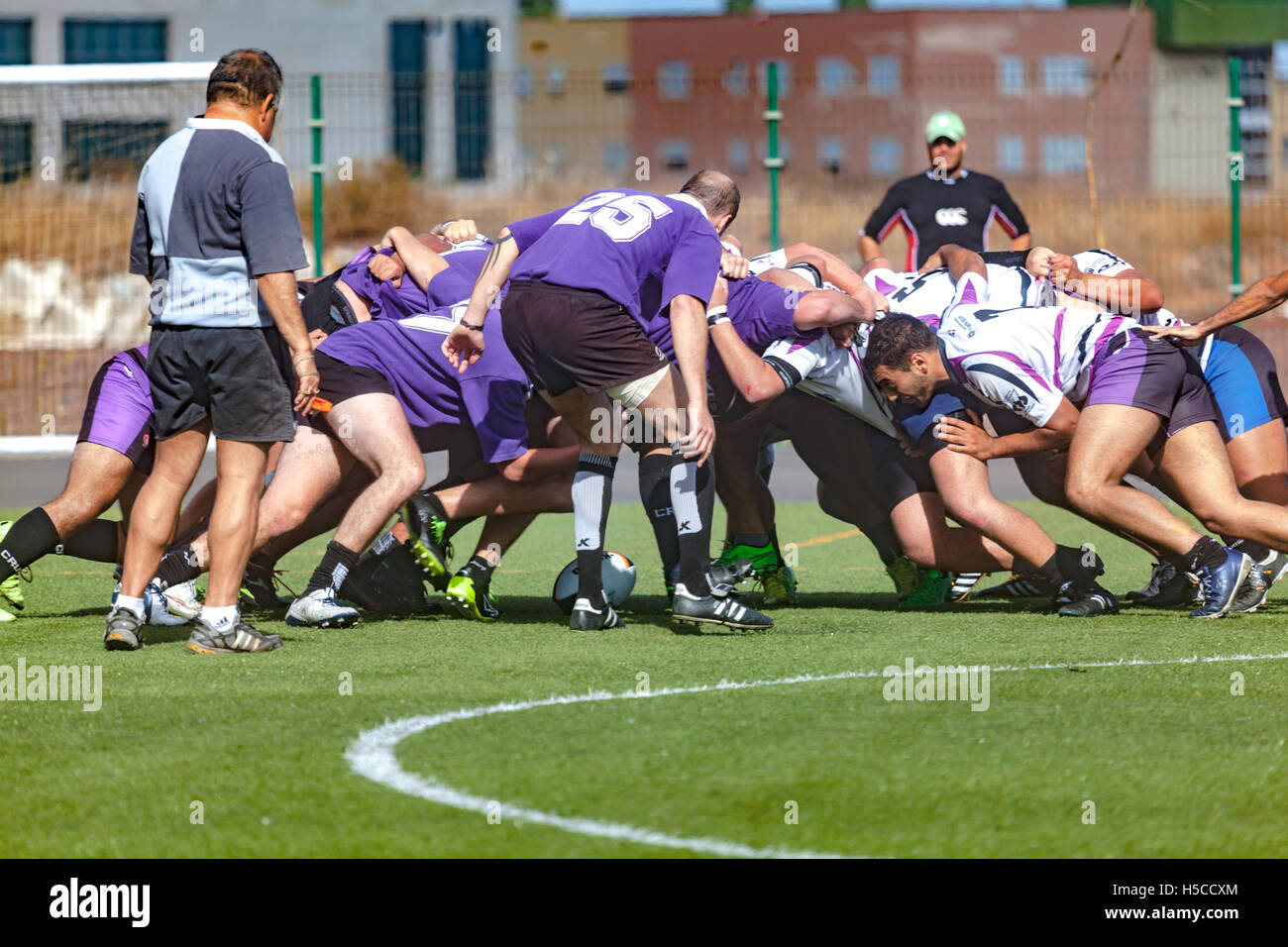 male adult rugby match Stock Photo Alamy