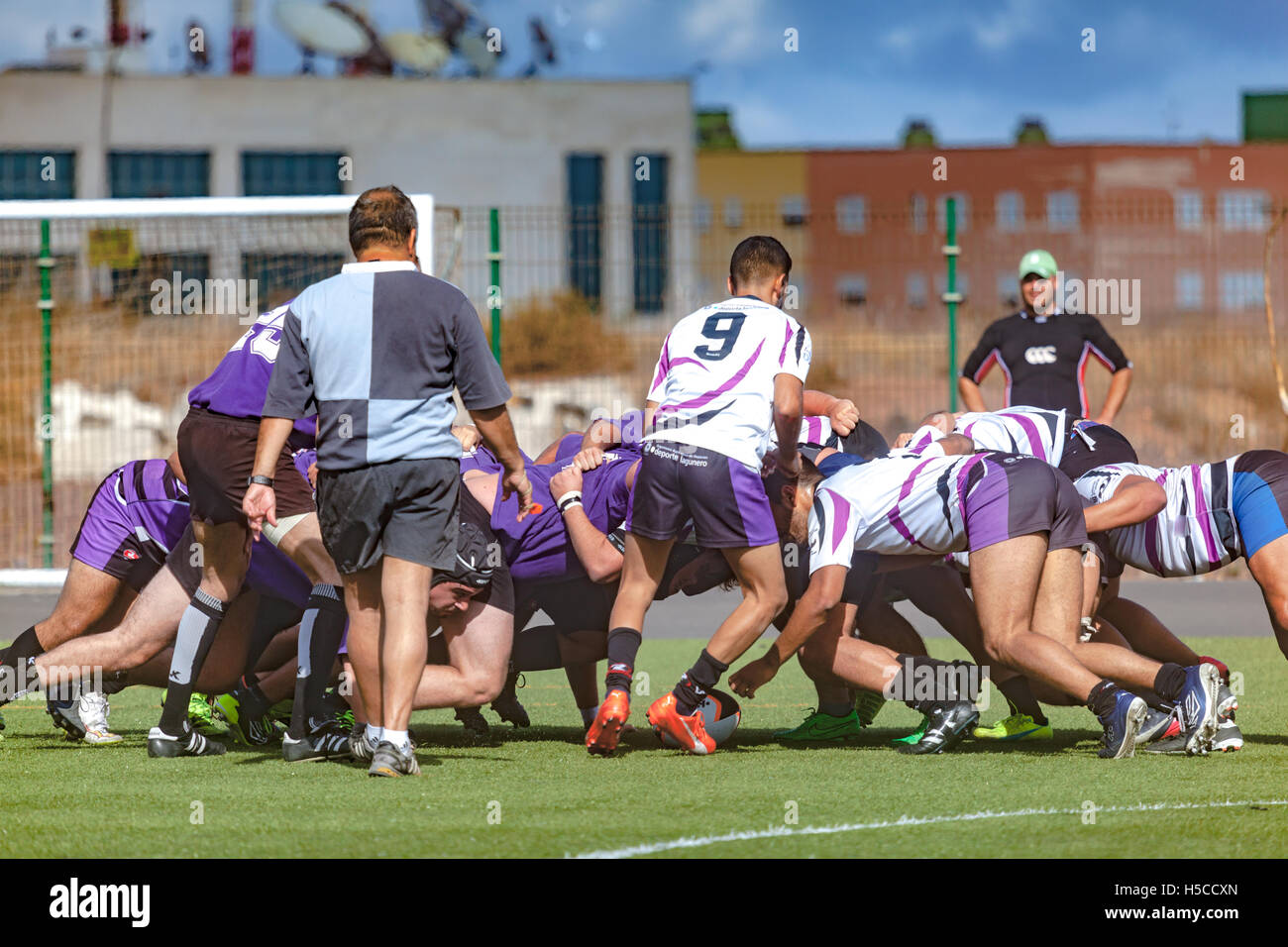 male adult rugby match Stock Photo Alamy