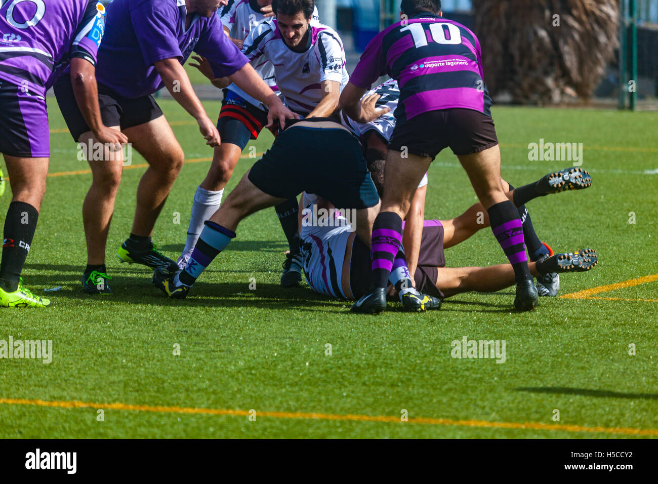 male adult rugby match Stock Photo Alamy