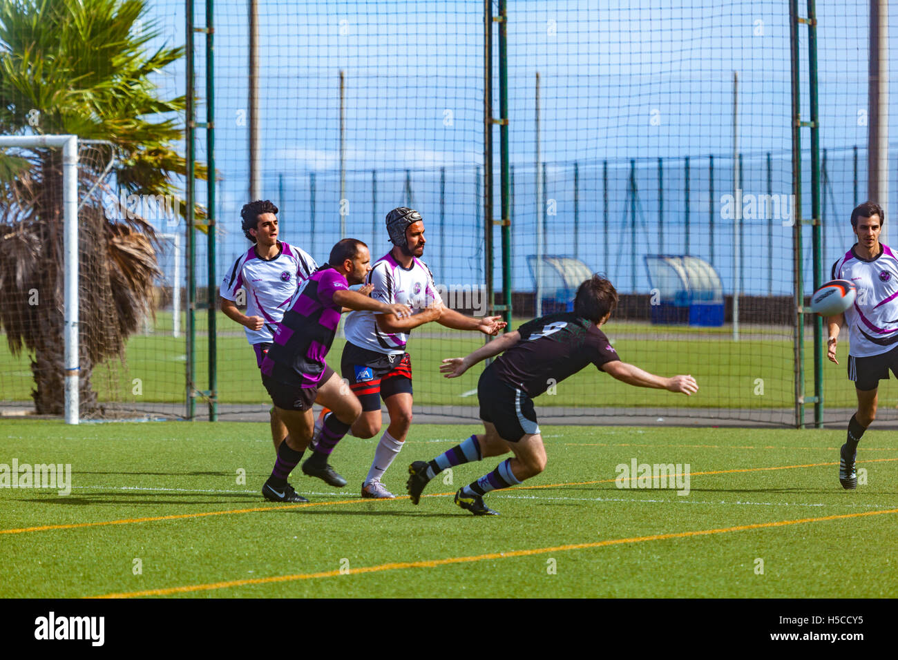 male adult rugby match Stock Photo Alamy